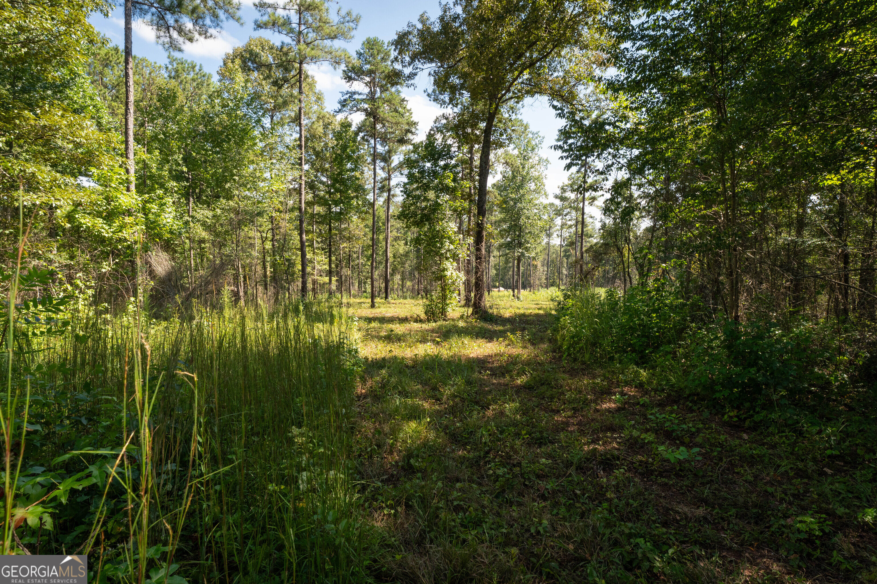 0 Hwy 100 Property Photo 13