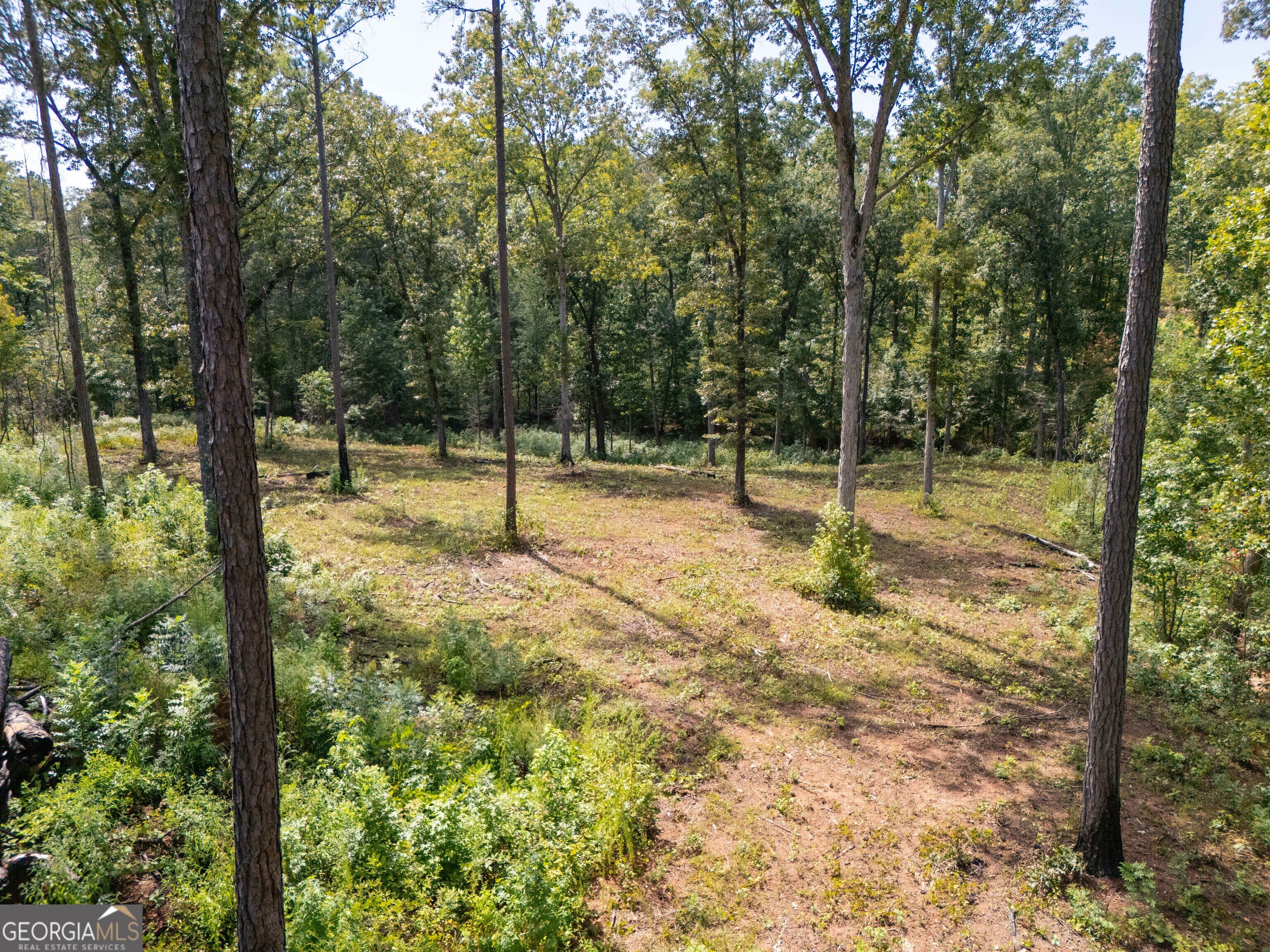 0 Hwy 100 Property Photo 17