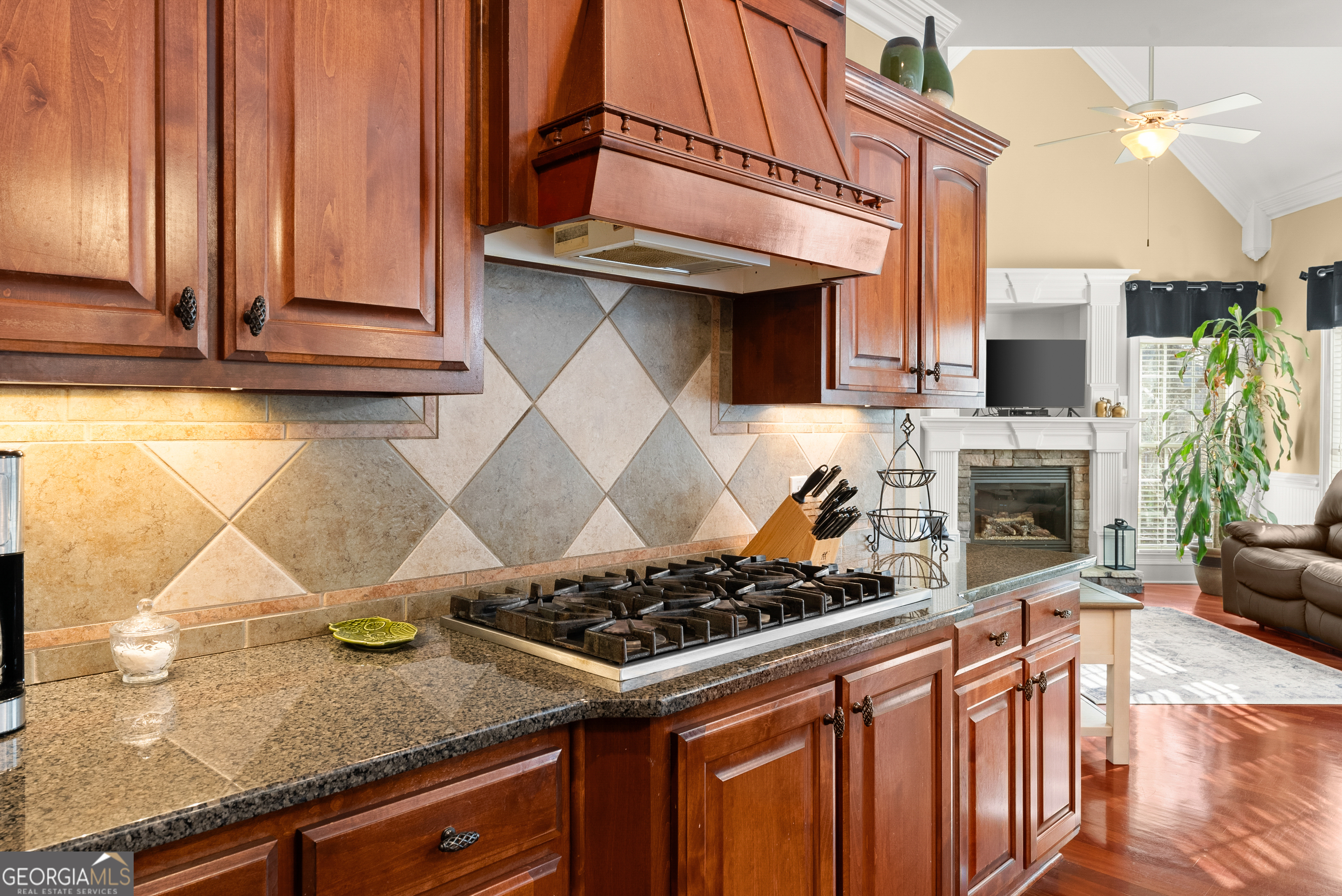 508 Smithson Crossing Property Photo 15