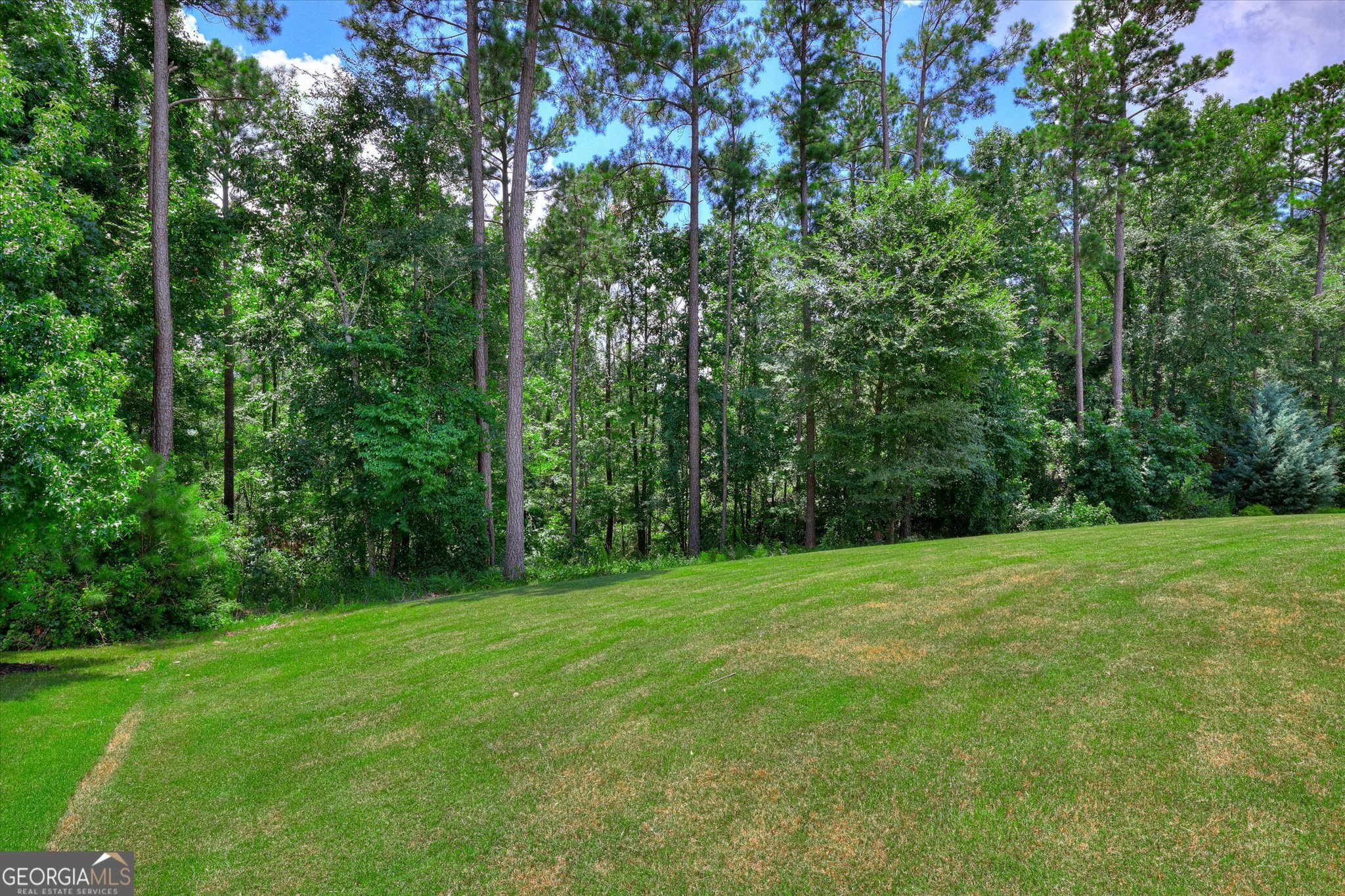 4324 Sabal Drive Property Photo 74