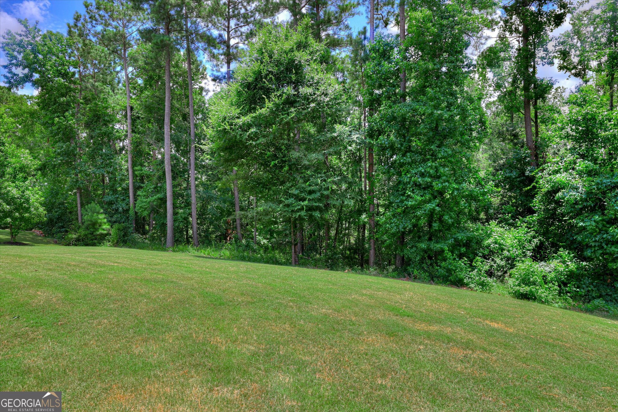 4324 Sabal Drive Property Photo 77