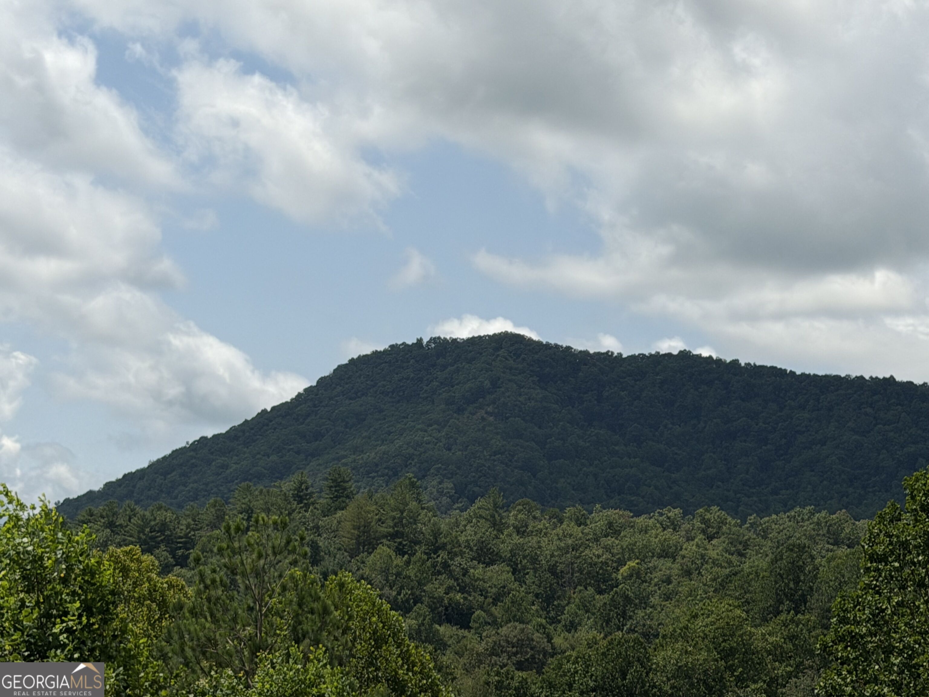 7129 Tantrough Farms Property Photo 3
