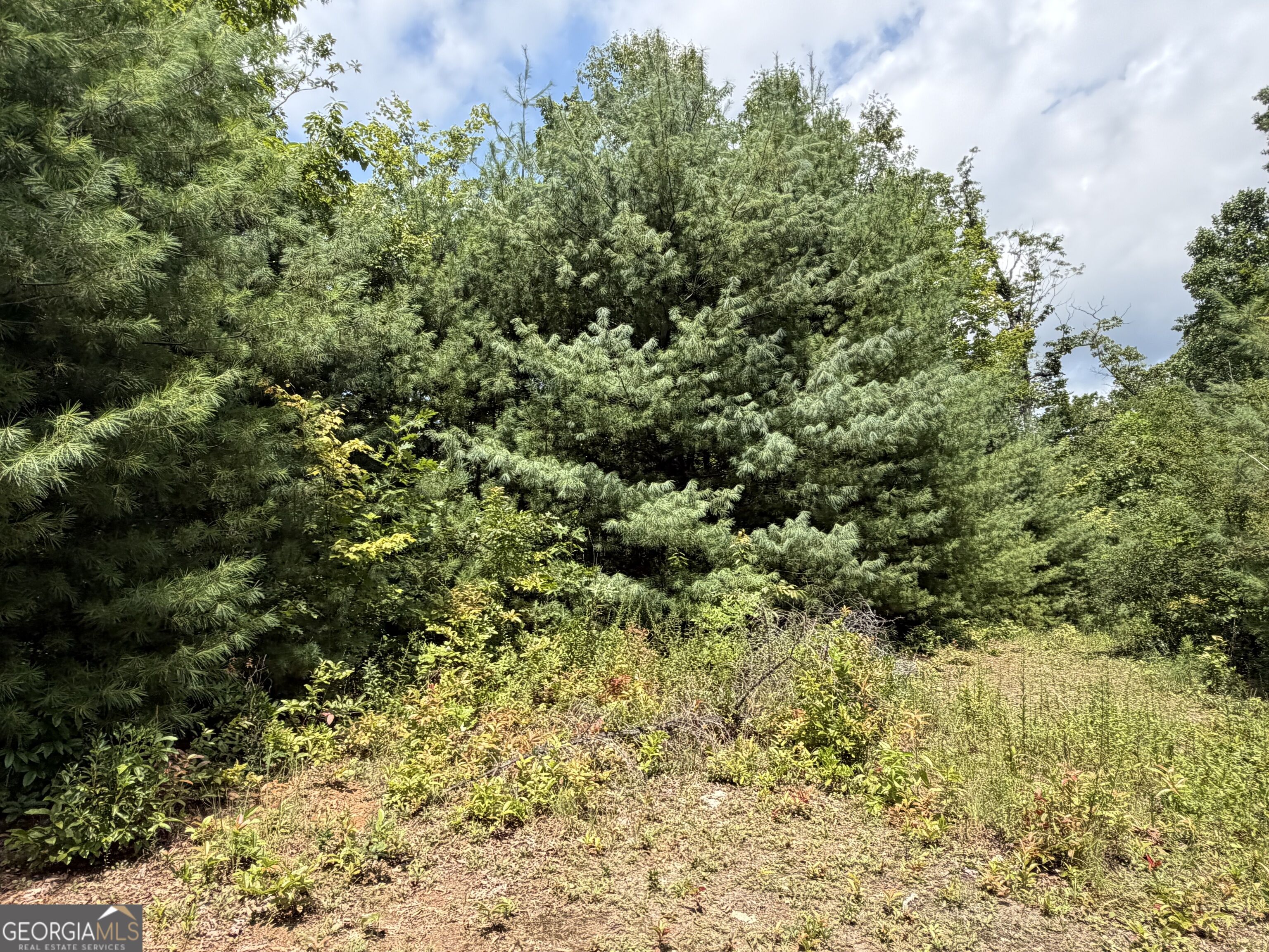 7129 Tantrough Farms Property Photo 5