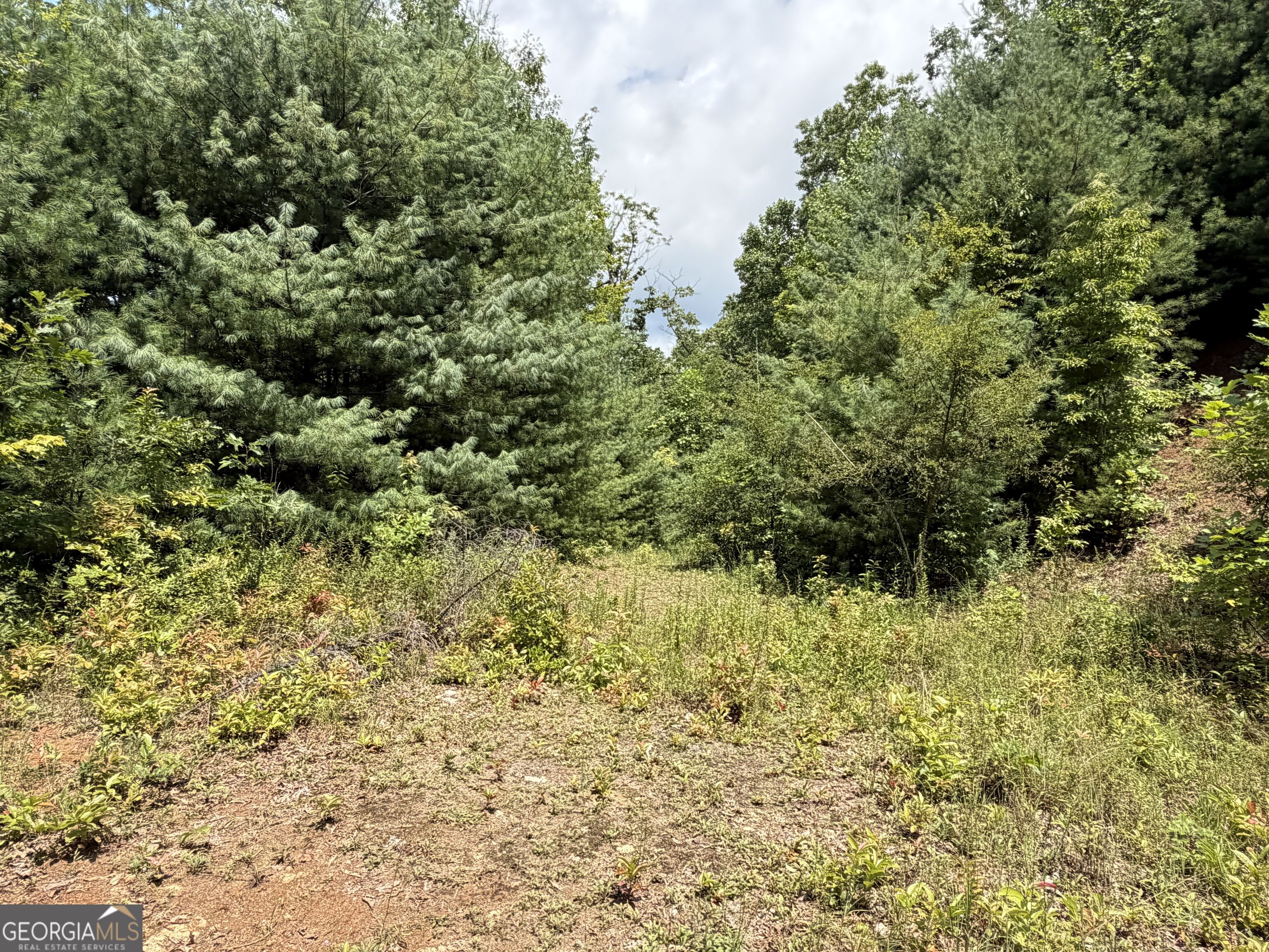 7129 Tantrough Farms Property Photo 6