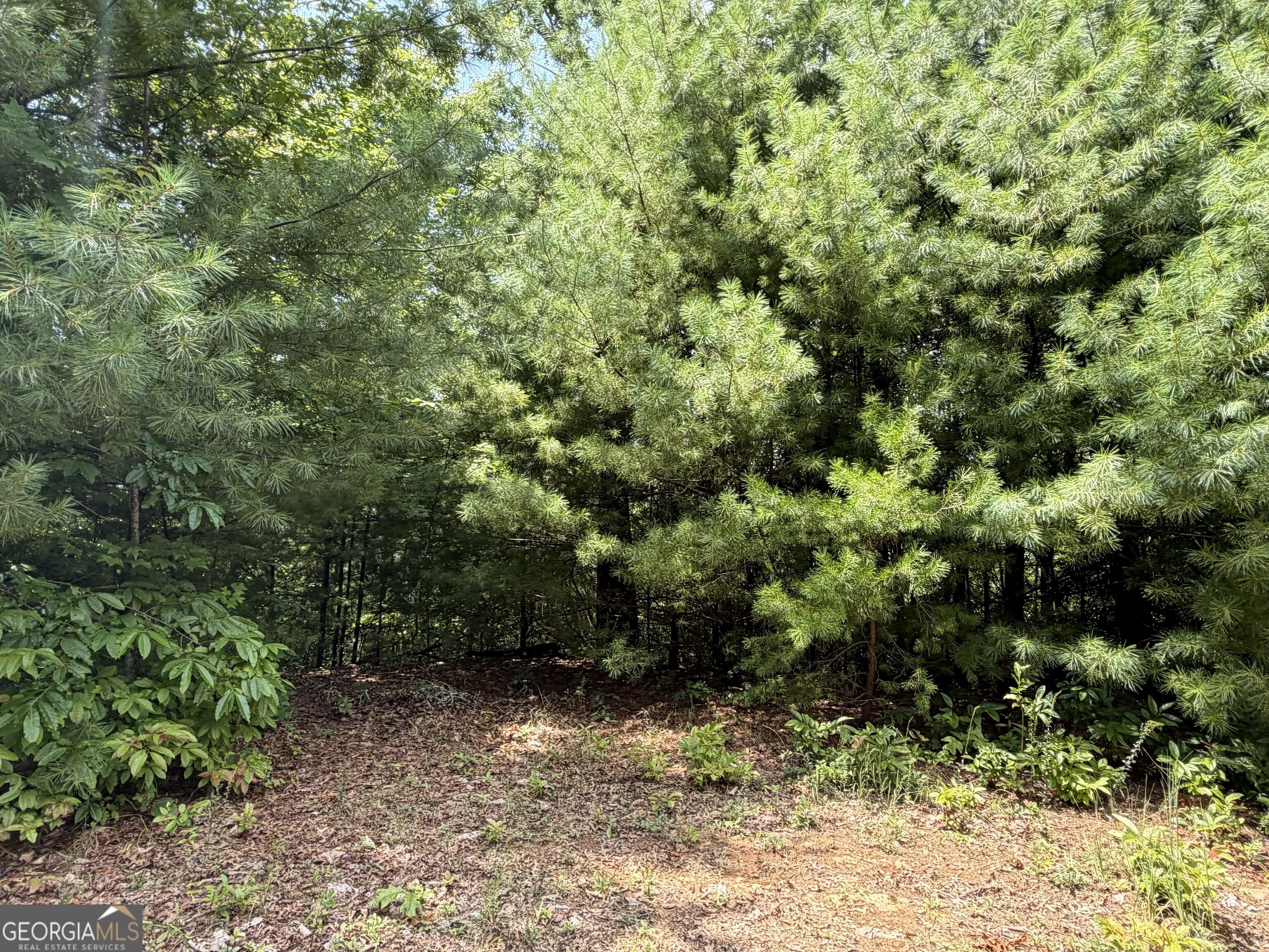 7129 Tantrough Farms Property Photo 7