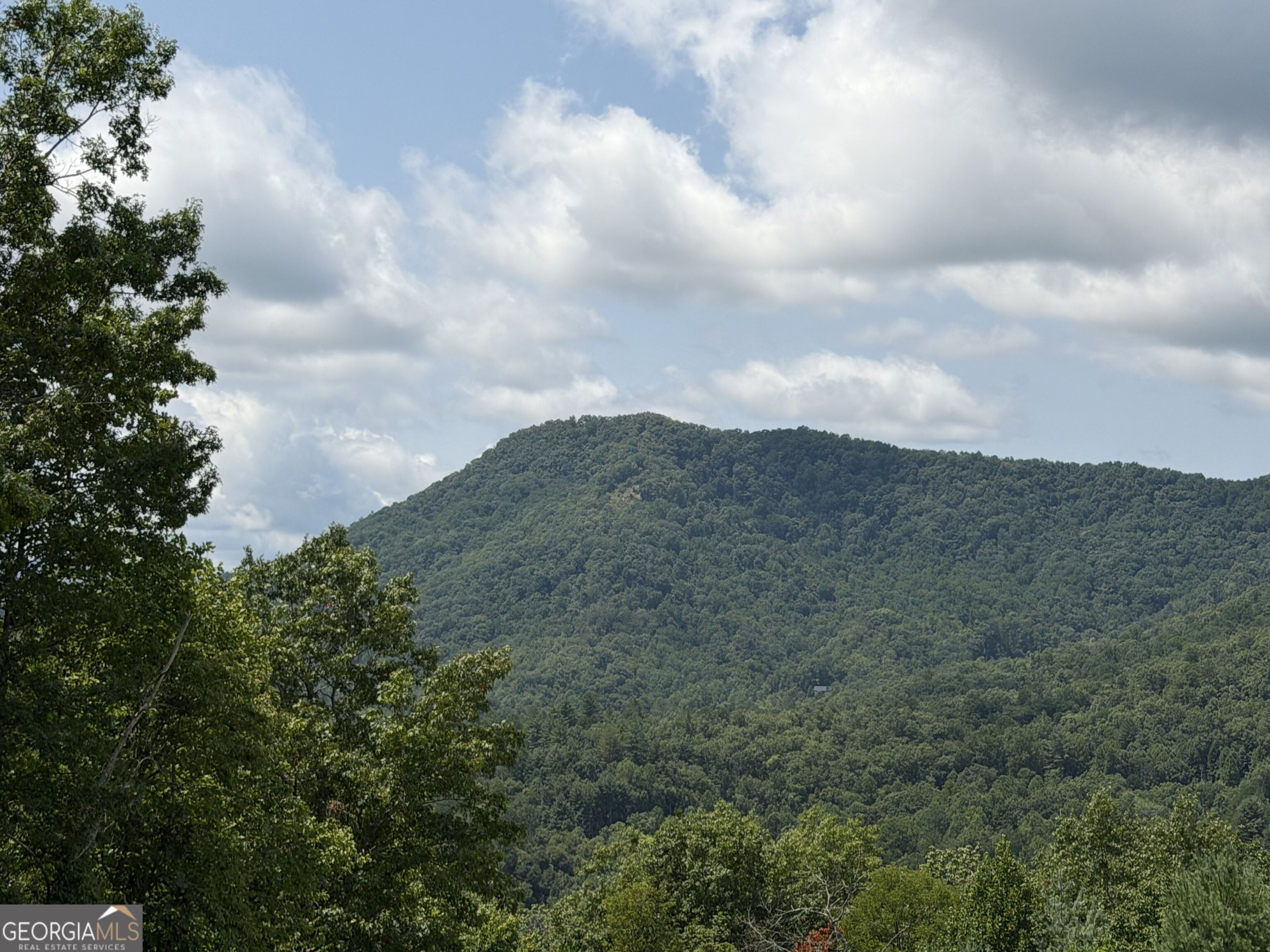 7129 Tantrough Farms Property Photo 13