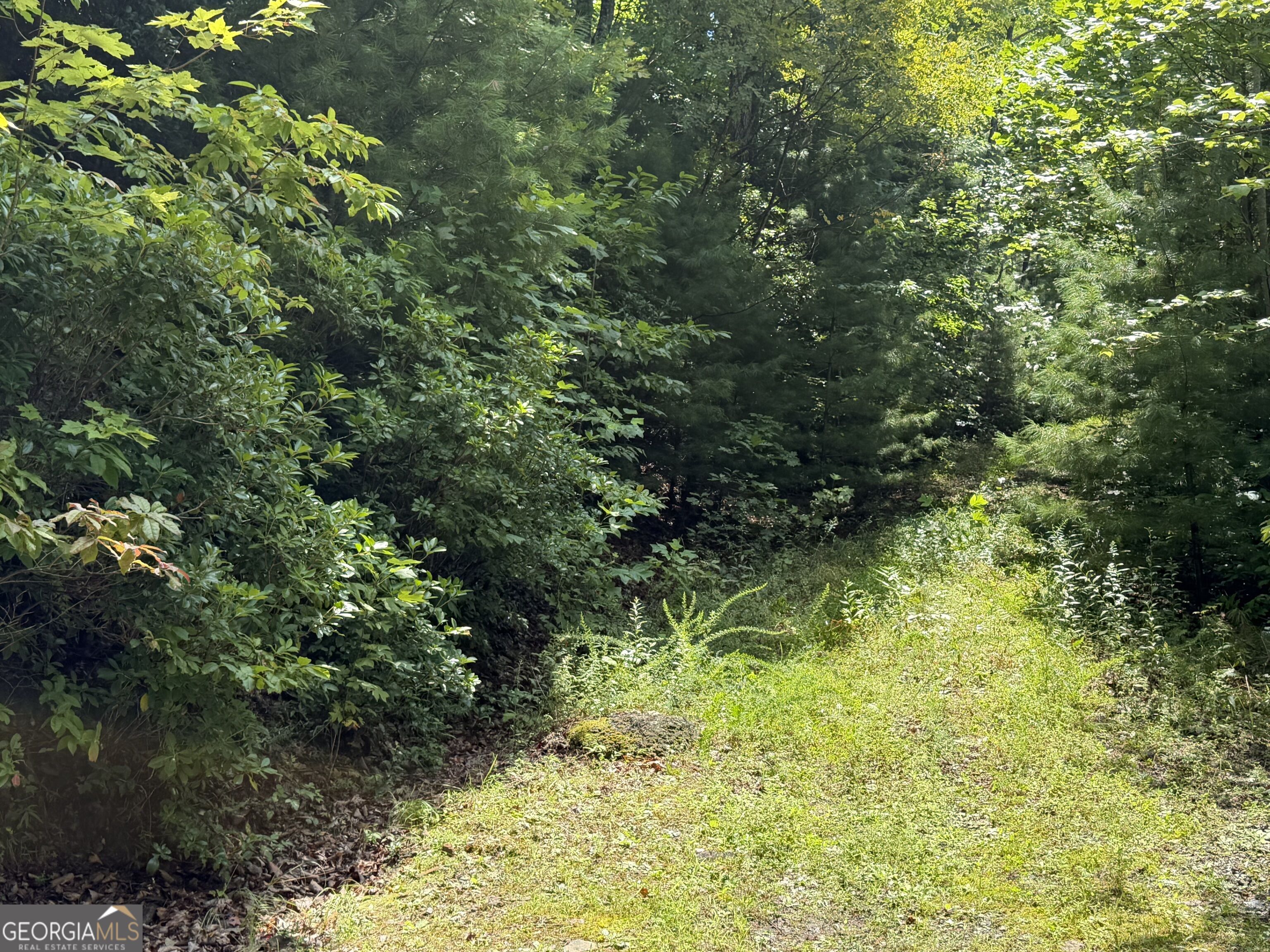 7129 Tantrough Farms Property Photo 21