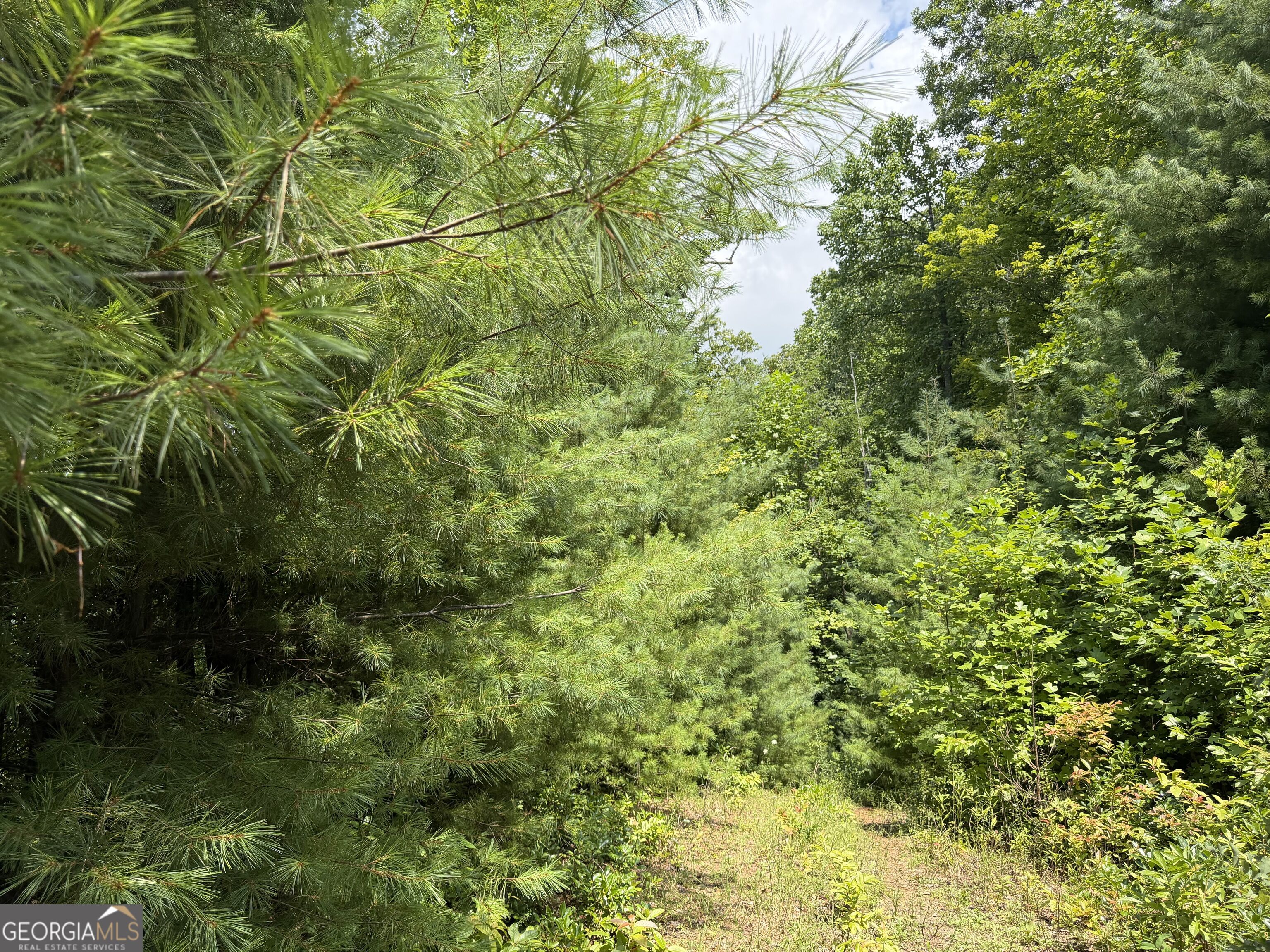 7129 Tantrough Farms Property Photo 23