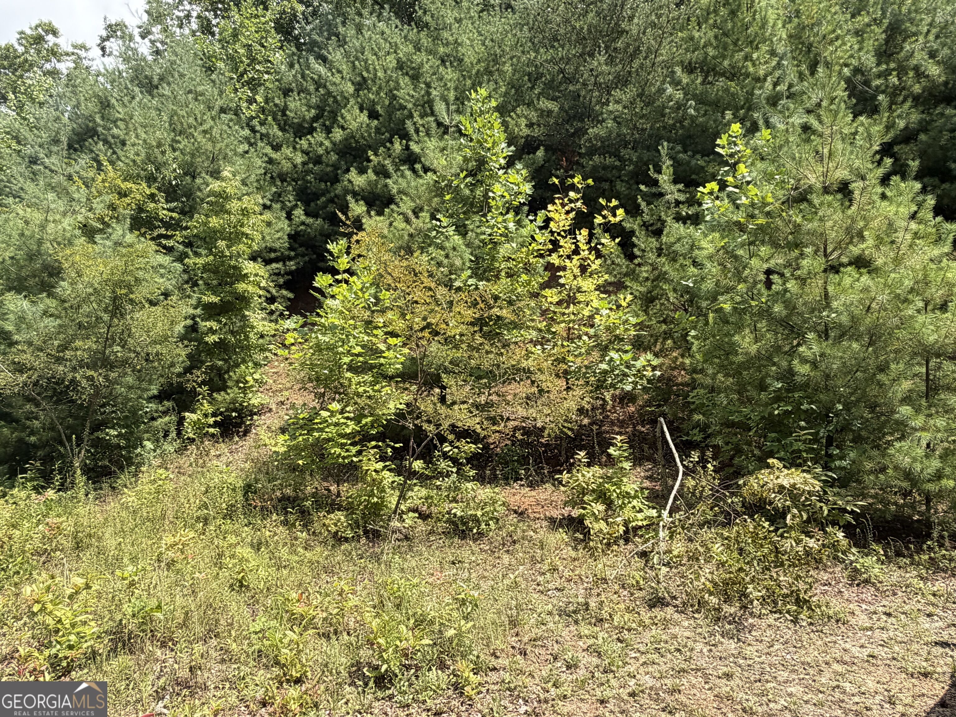 7129 Tantrough Farms Property Photo 26