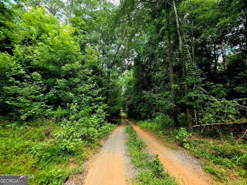 0 Highway 42 S Property Photo 2