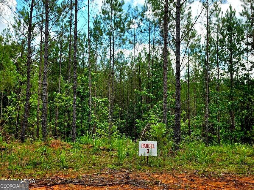 0 Highway 42 S Property Photo 3