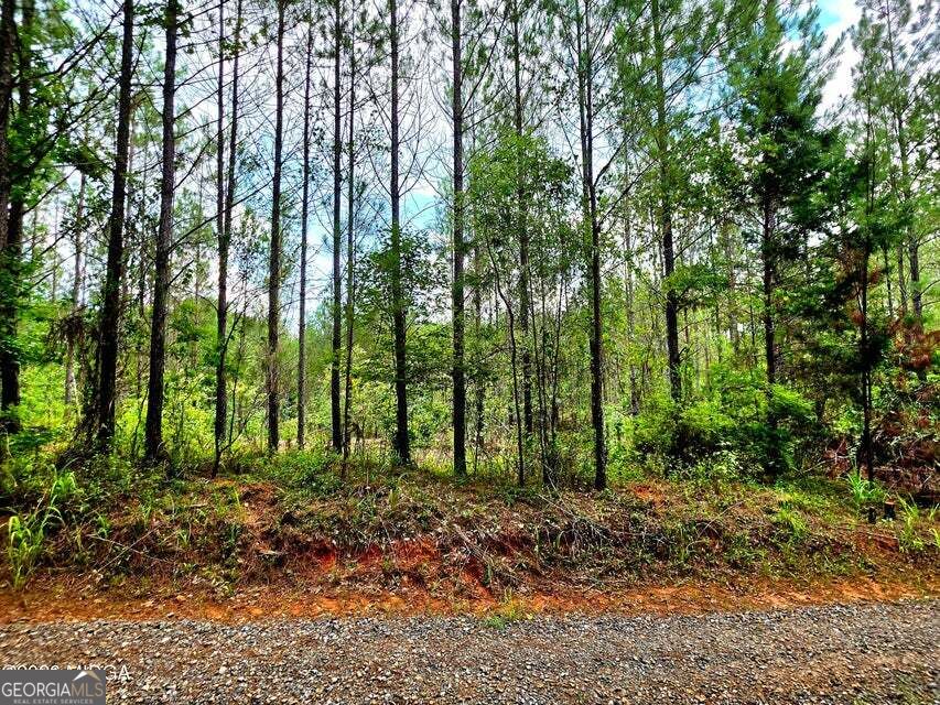 0 Highway 42 S Property Photo 6