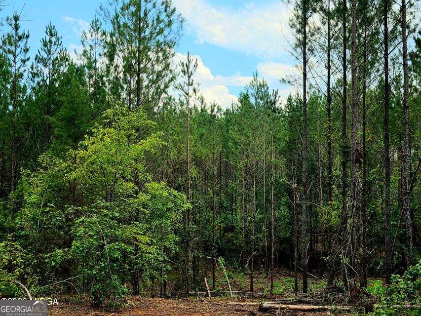 0 Highway 42 S Property Photo 10