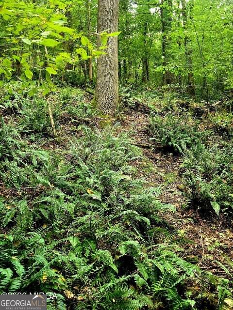 0 Highway 42 S Property Photo 14