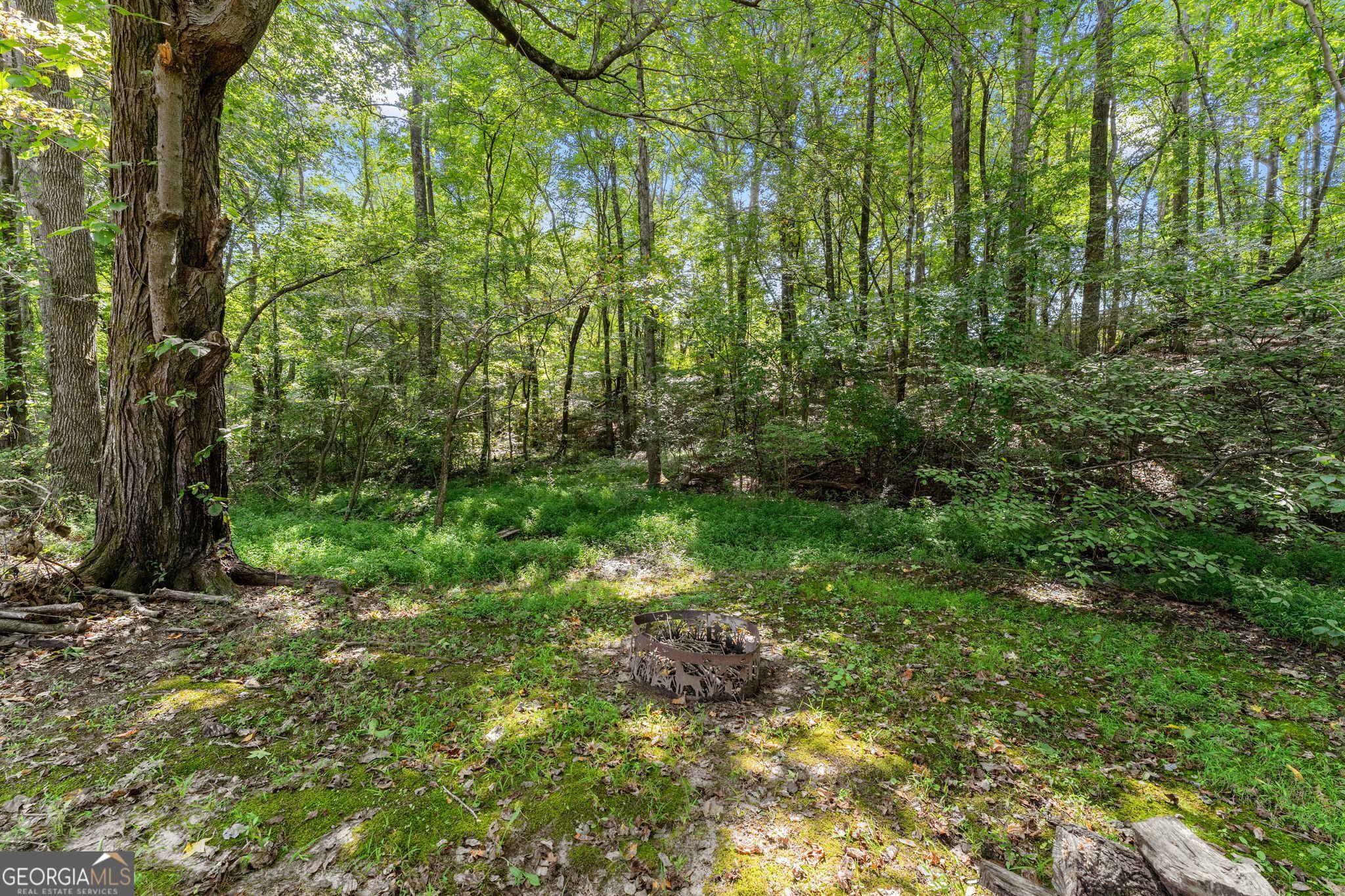 4465 Carters Creek Lane Property Photo 59
