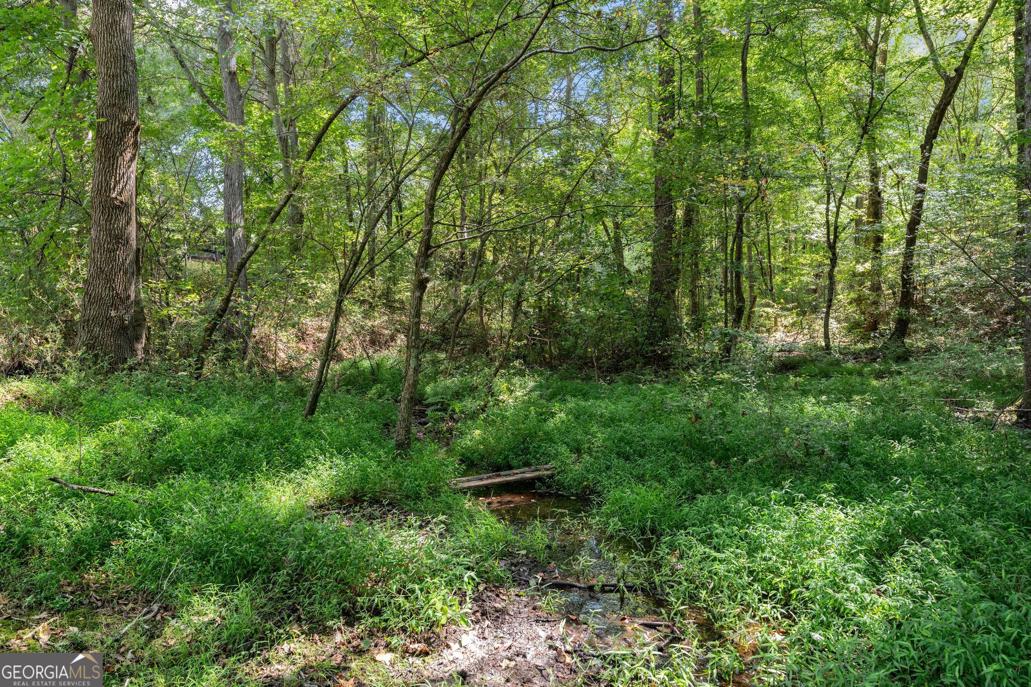 4465 Carters Creek Lane Property Photo 60