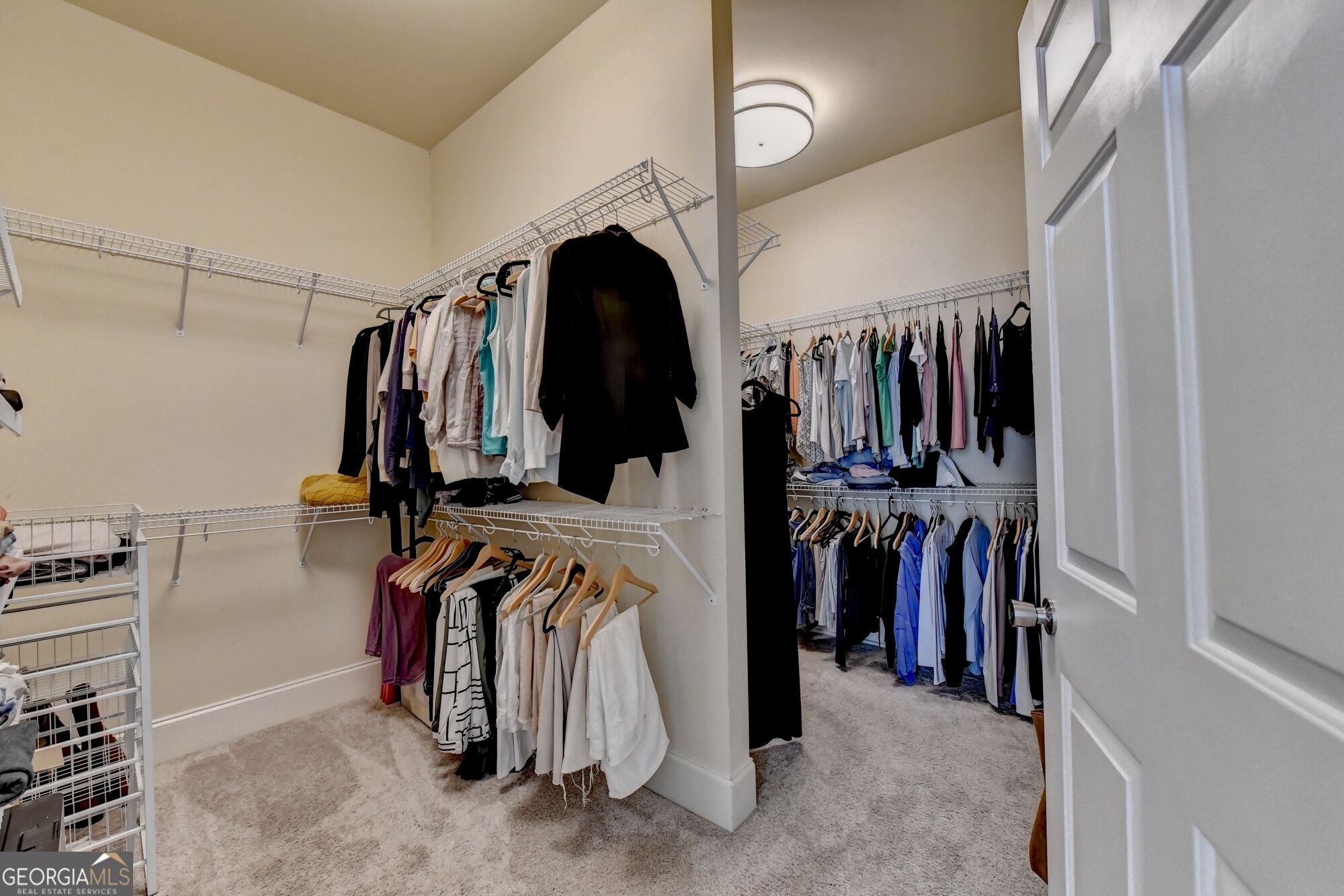 1071 Moores Walk Lane Property Photo 98