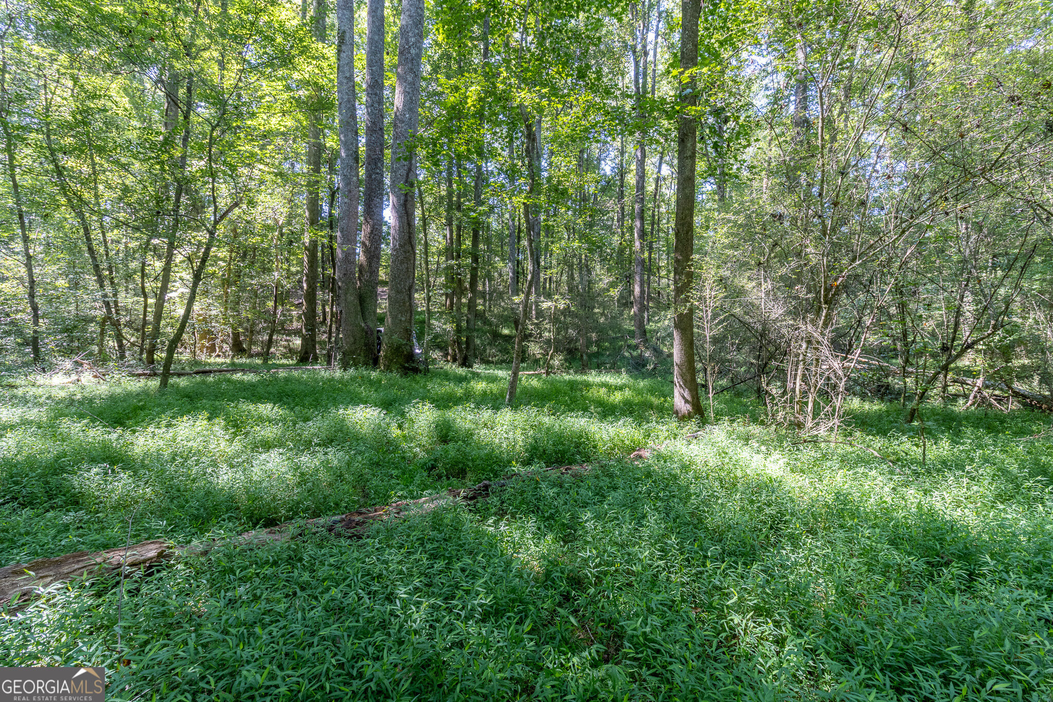16 Peek Drive Property Photo 42