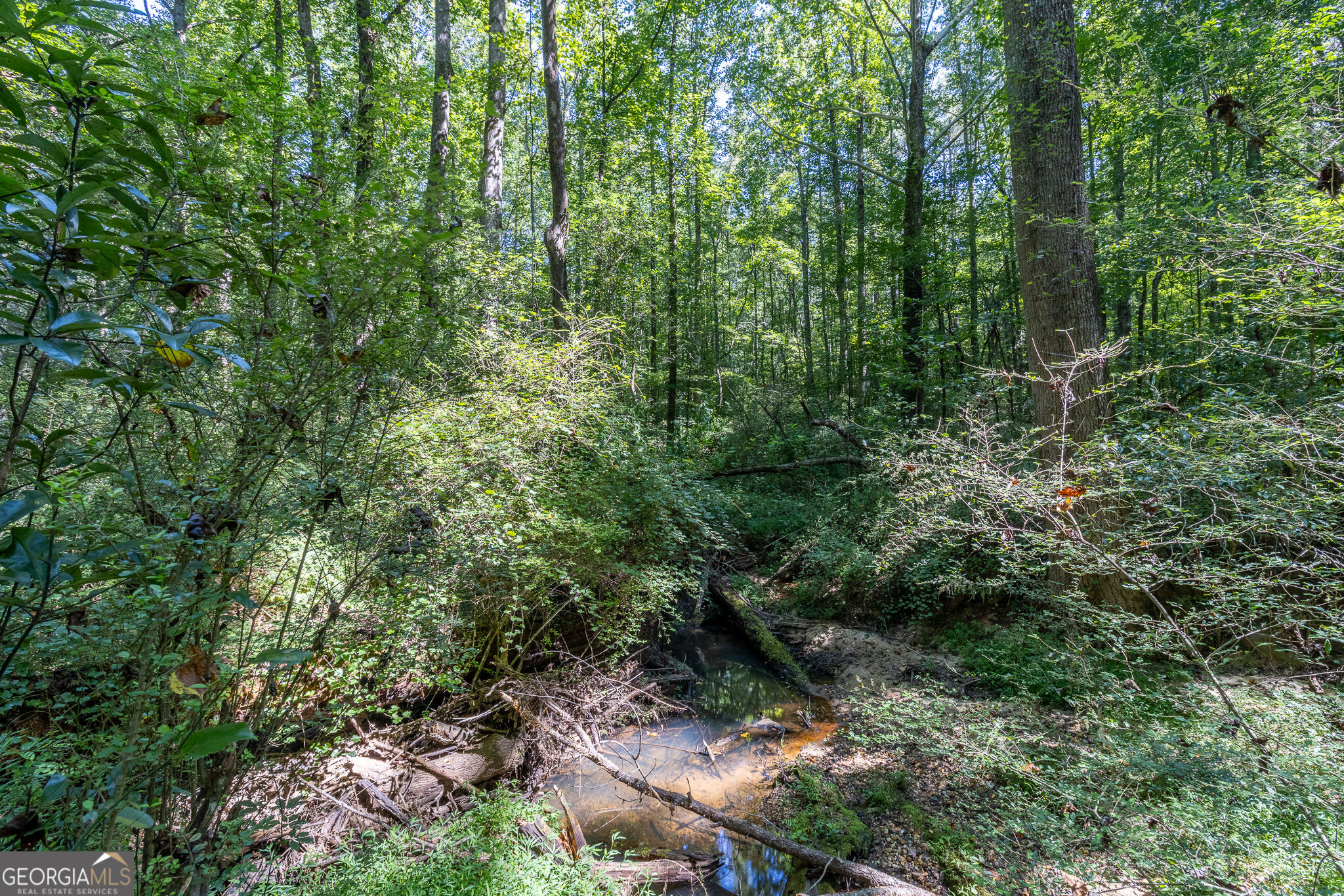 16 Peek Drive Property Photo 43