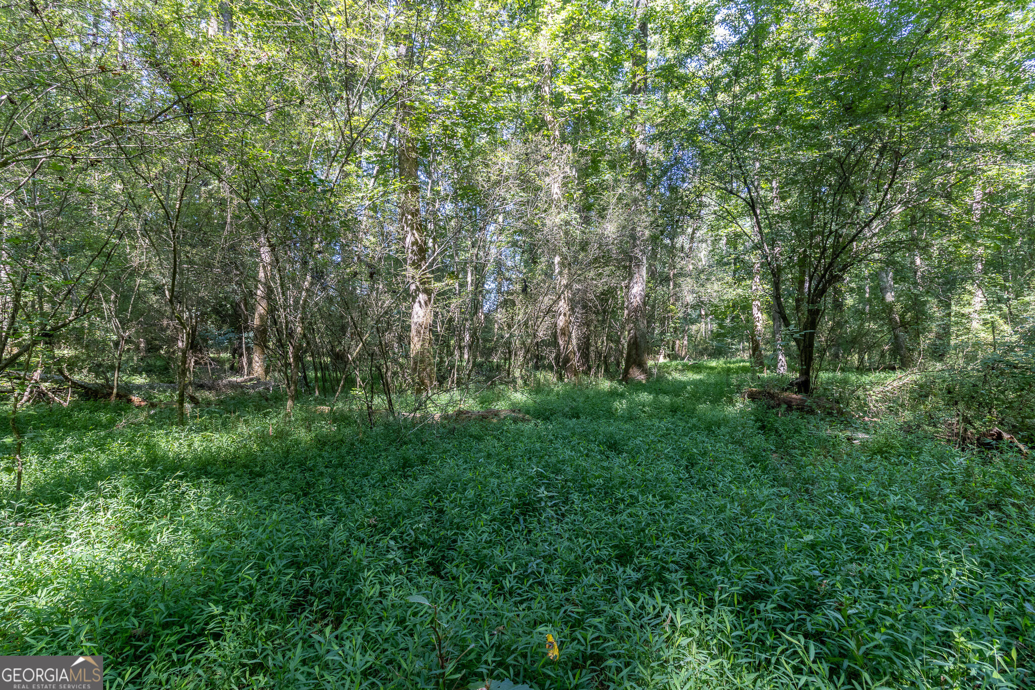 16 Peek Drive Property Photo 44