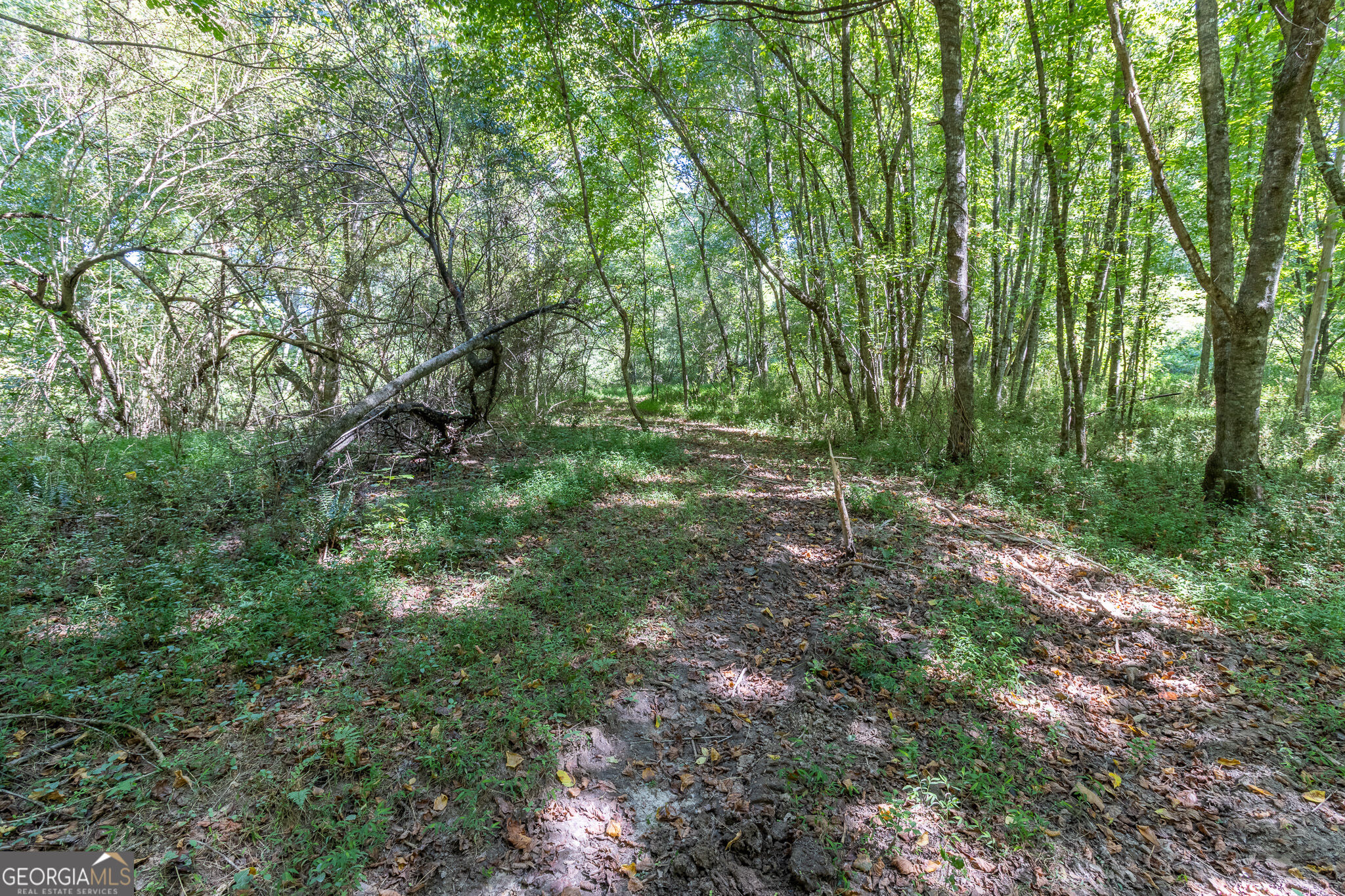 16 Peek Drive Property Photo 45