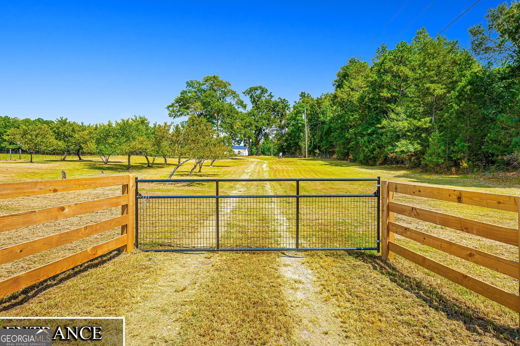 3068 Gregg Shoals Property Photo 4