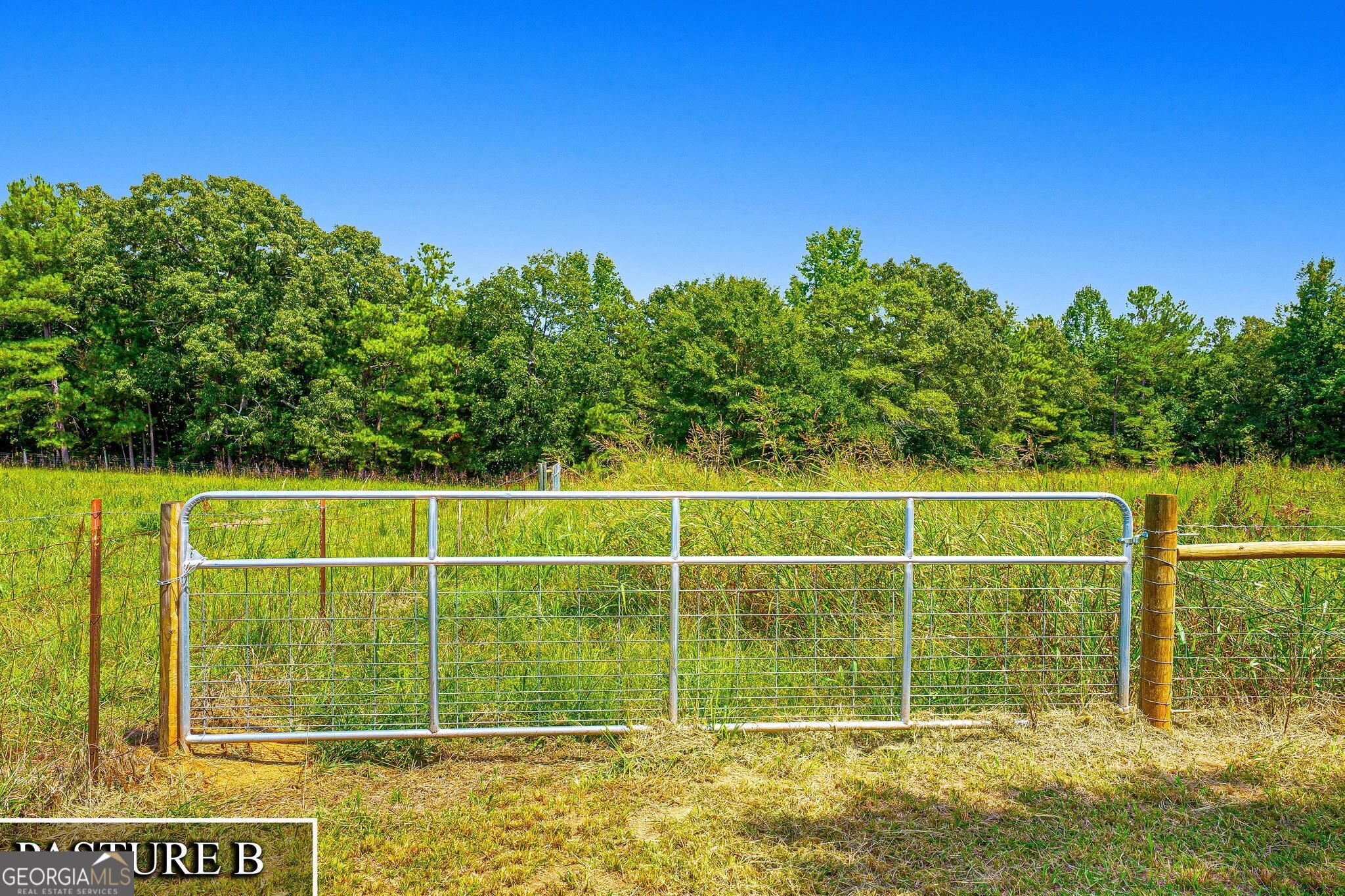 3068 Gregg Shoals Property Photo 41