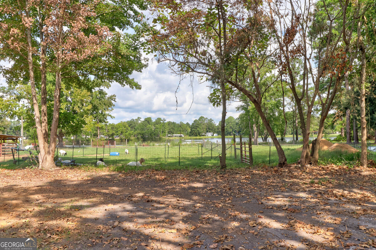 598 Clark Road Property Photo 36