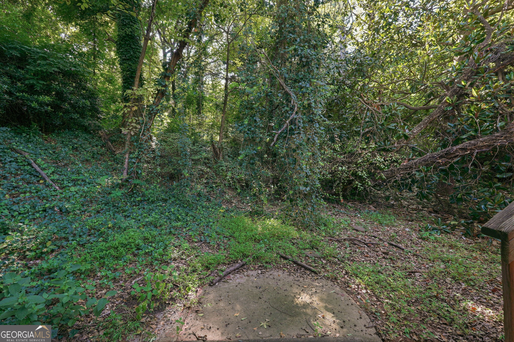 2231 Scotty Circle Property Photo 34
