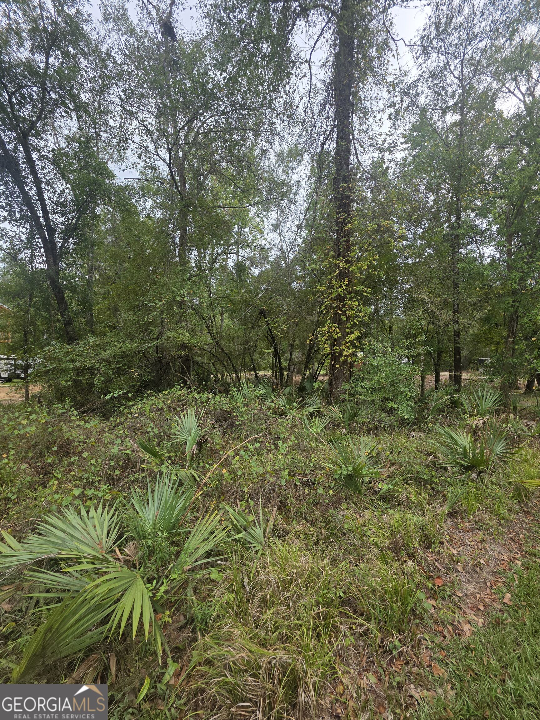 0 Morris Landing Road Property Photo 1