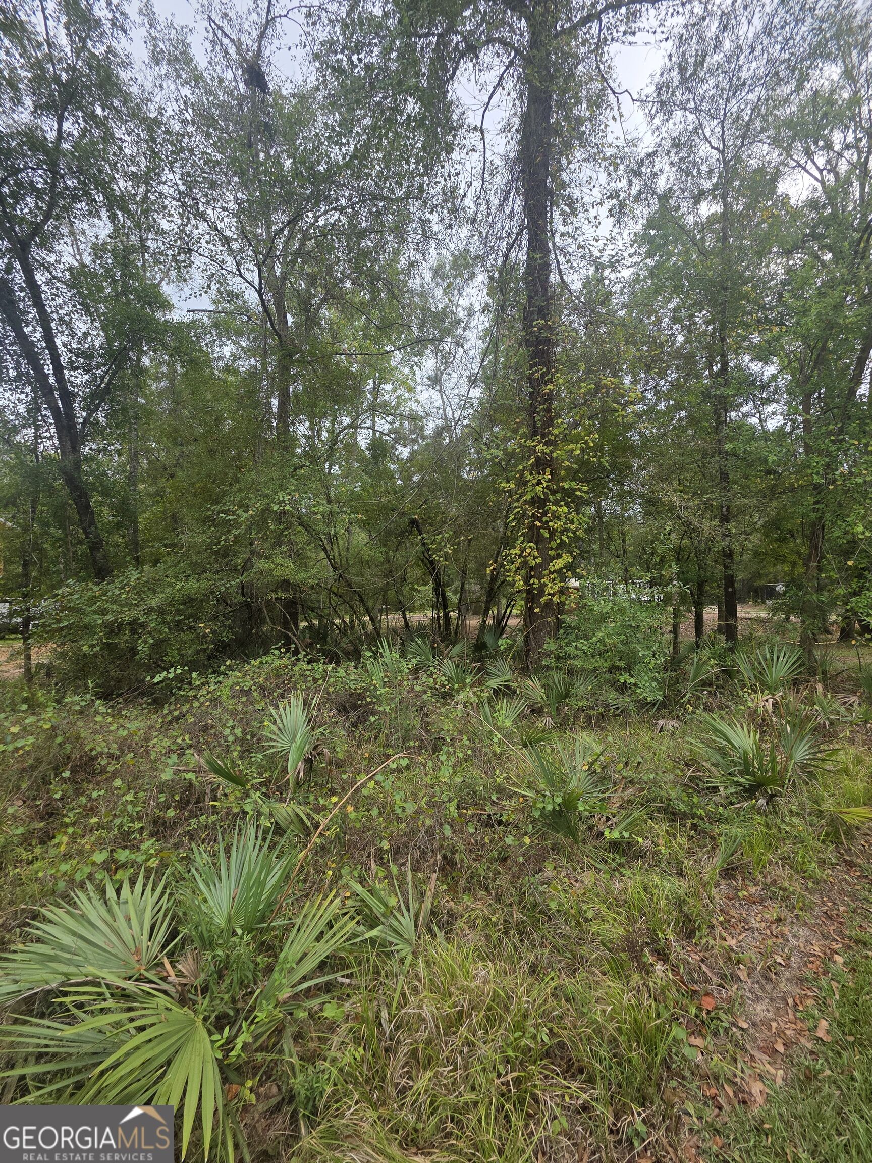 0 Morris Landing Road Property Photo 3