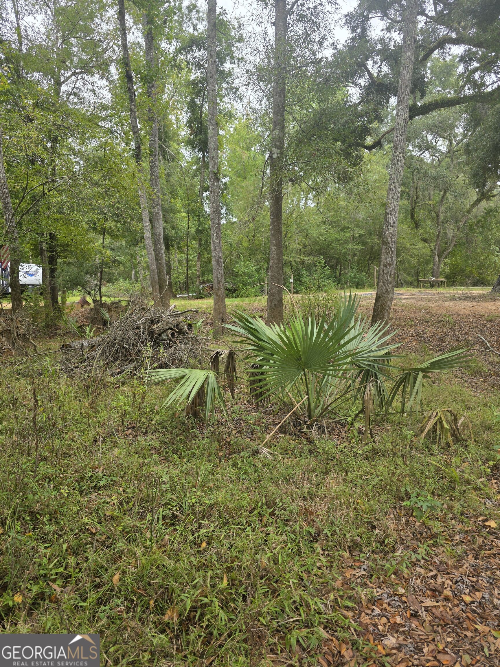 0 Morris Landing Road Property Photo 5