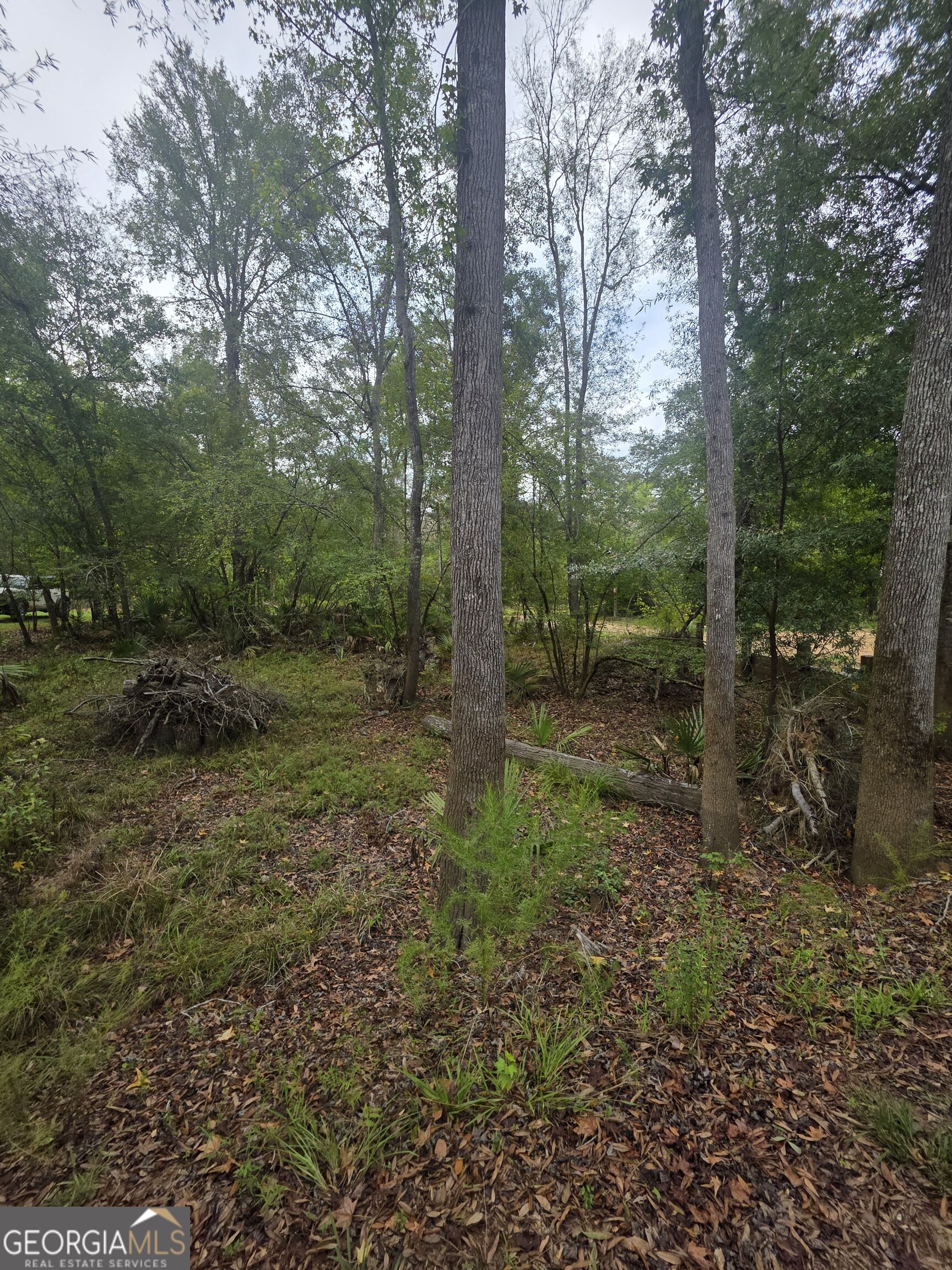 0 Morris Landing Road Property Photo 9