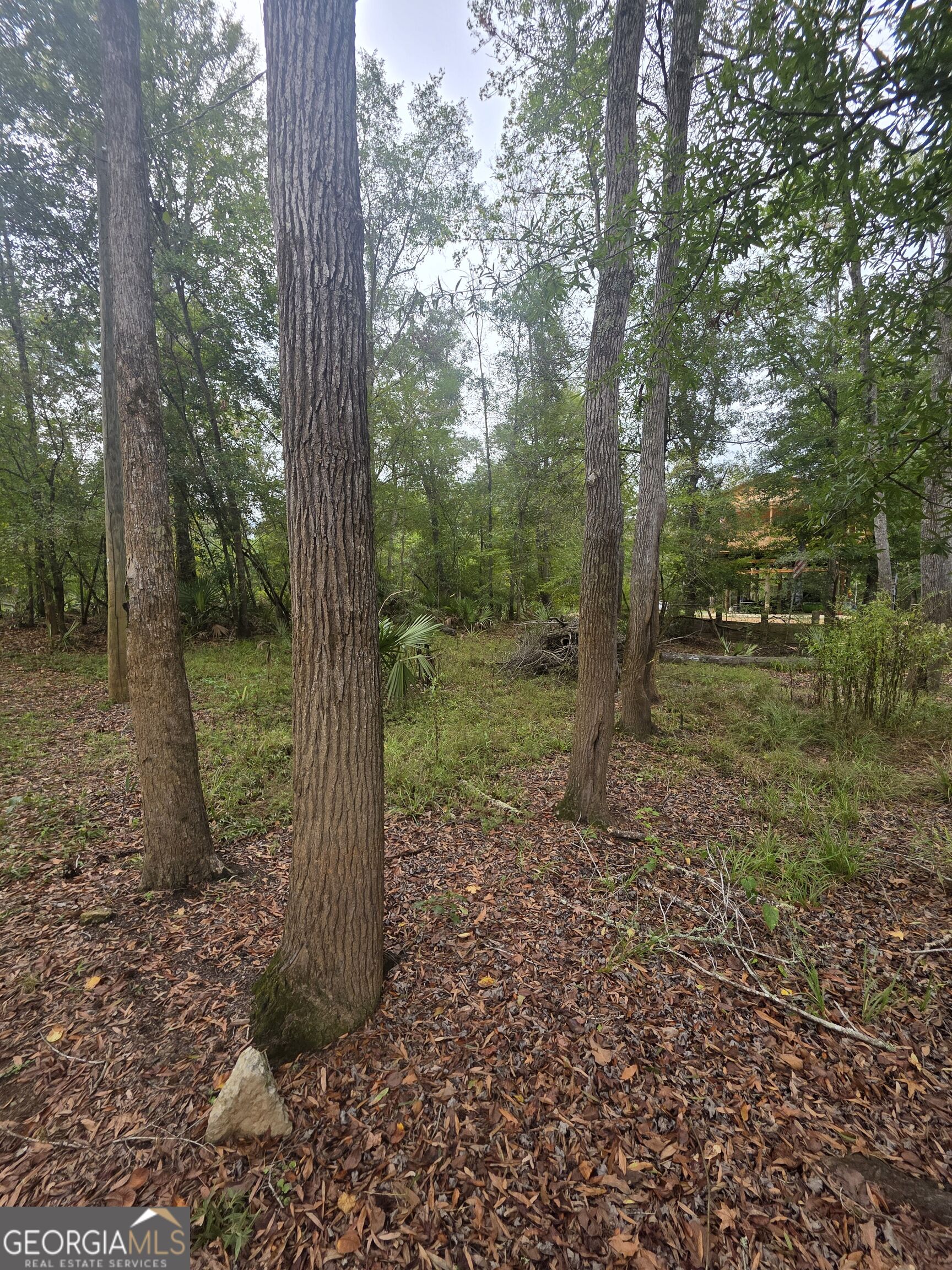 0 Morris Landing Road Property Photo 12