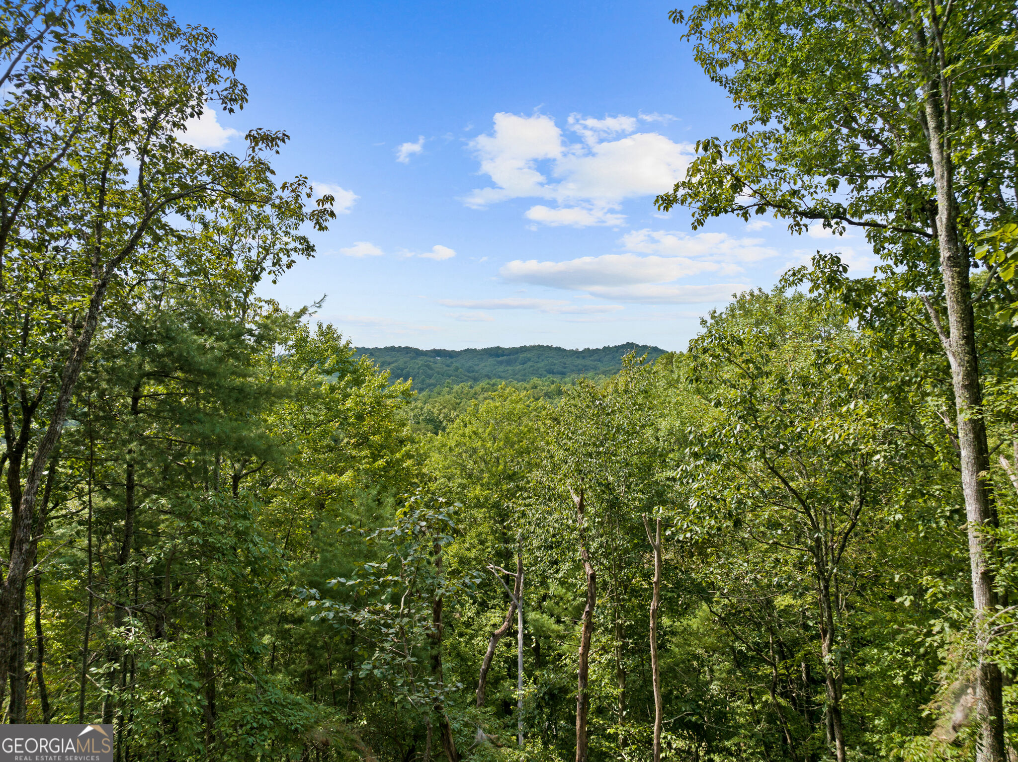 21 Mountain View Trail # 4 Property Photo 3