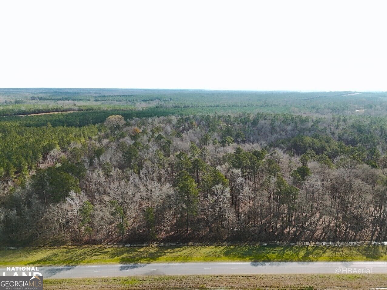 0 Highway 231 # A Property Photo 5