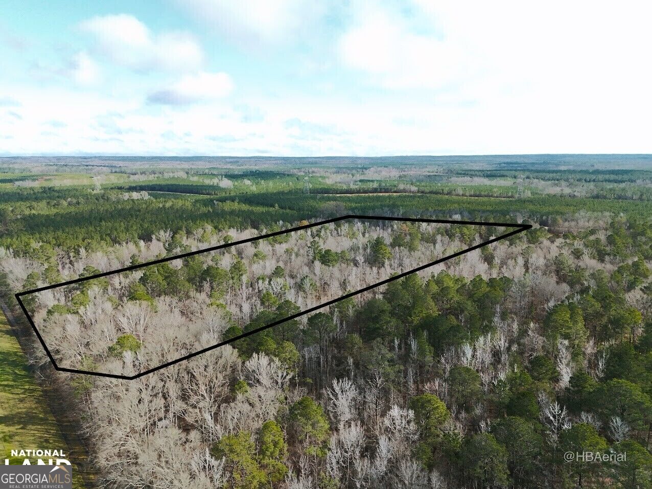 0 Highway 231 # A Property Photo 6