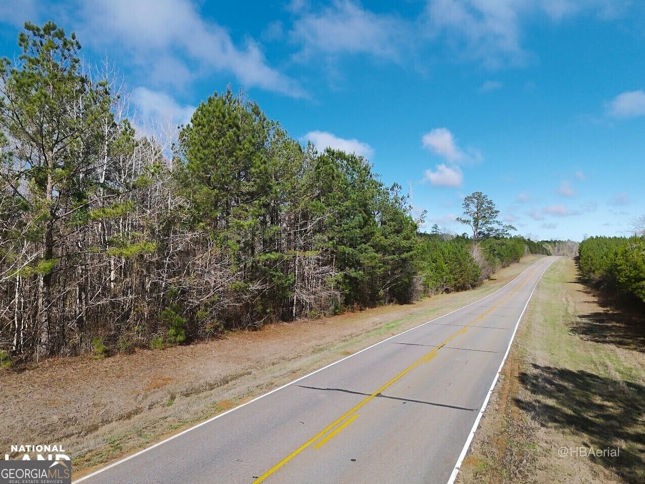 0 Highway 231 # A Property Photo 8