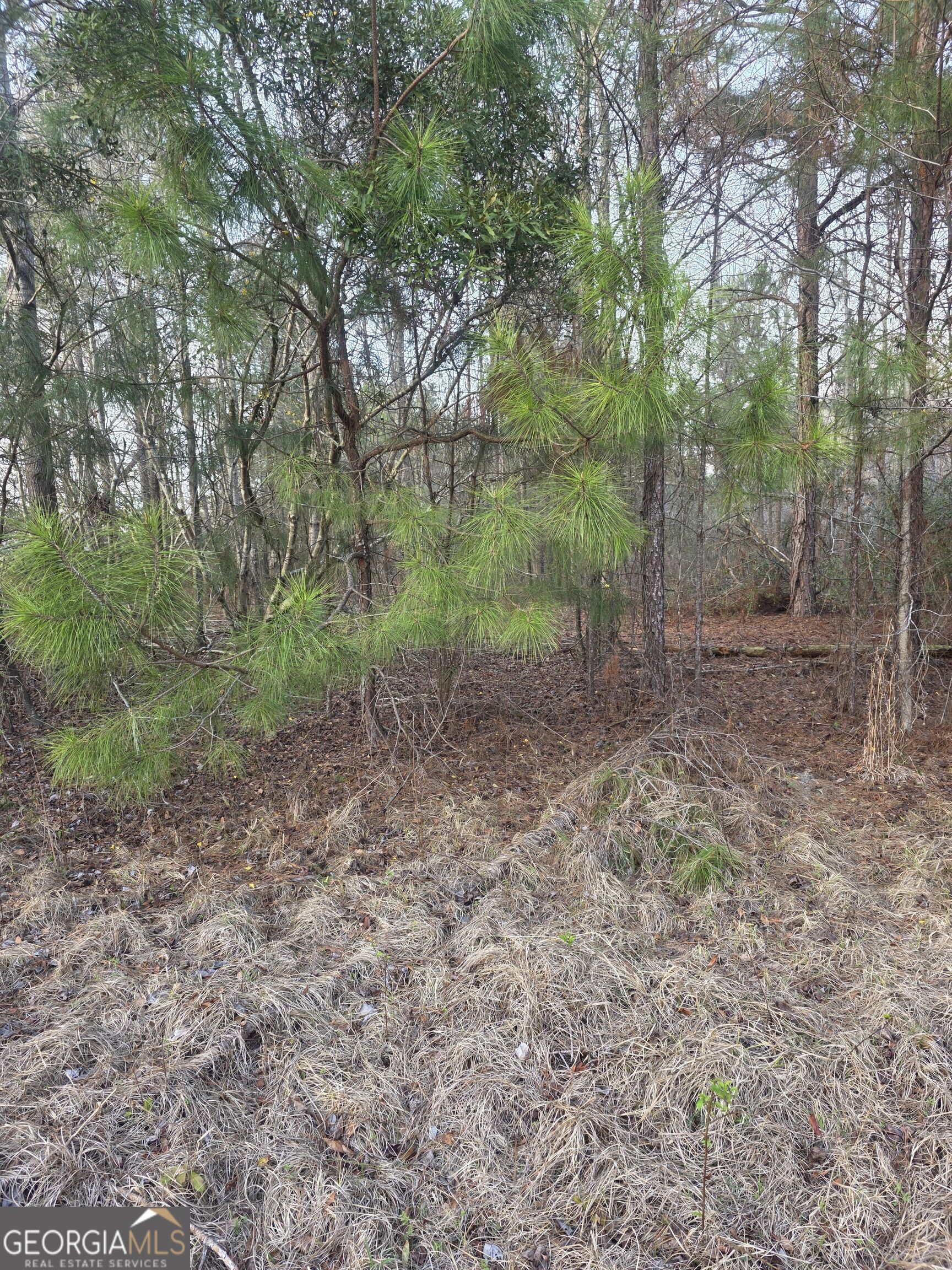 0 Perkins Greenfork Road Property Photo 5