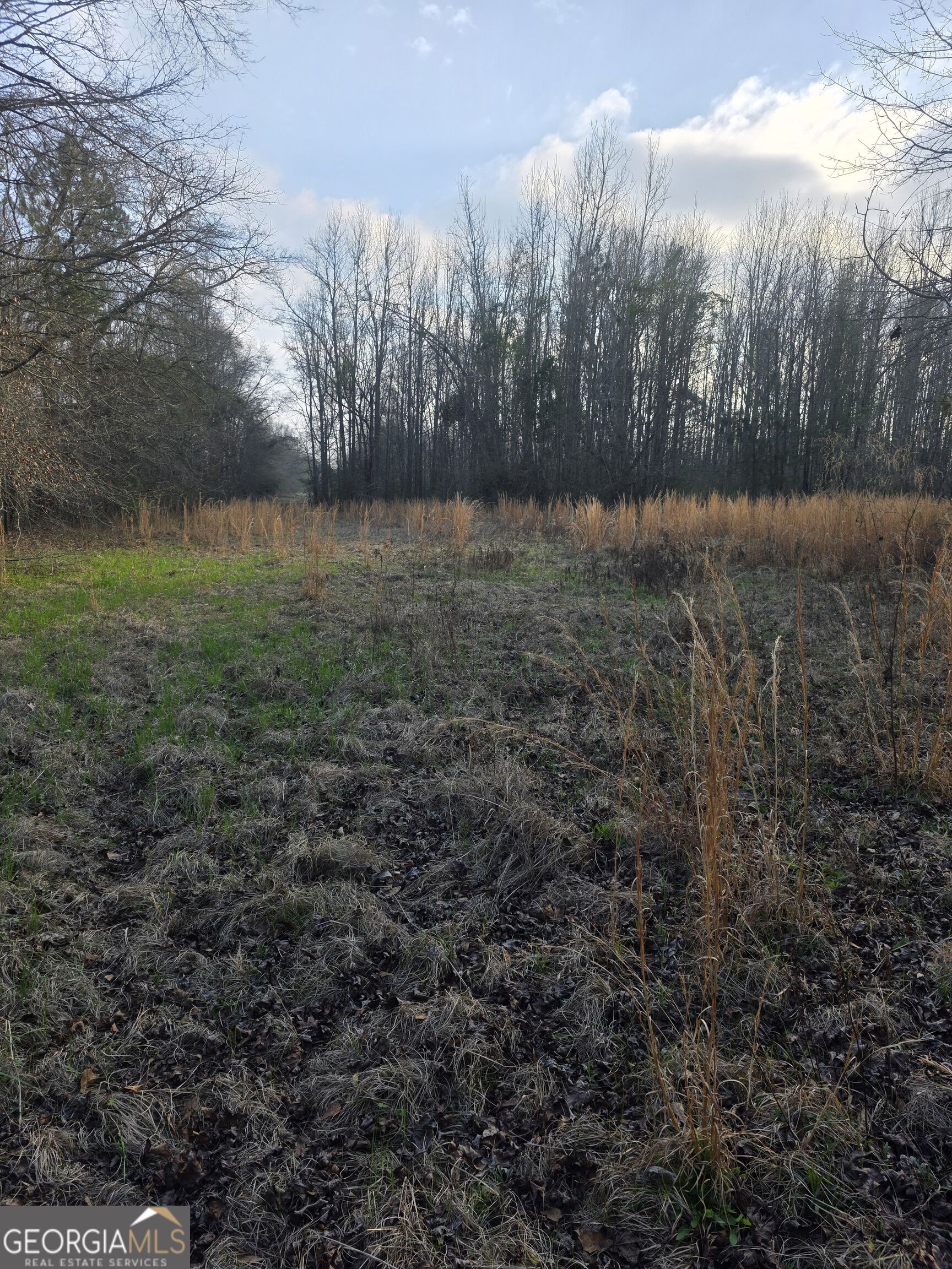 0 Perkins Greenfork Road Property Photo 6