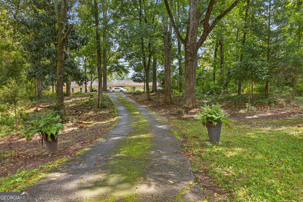 154 Ga Highway 49 N Property Photo 25