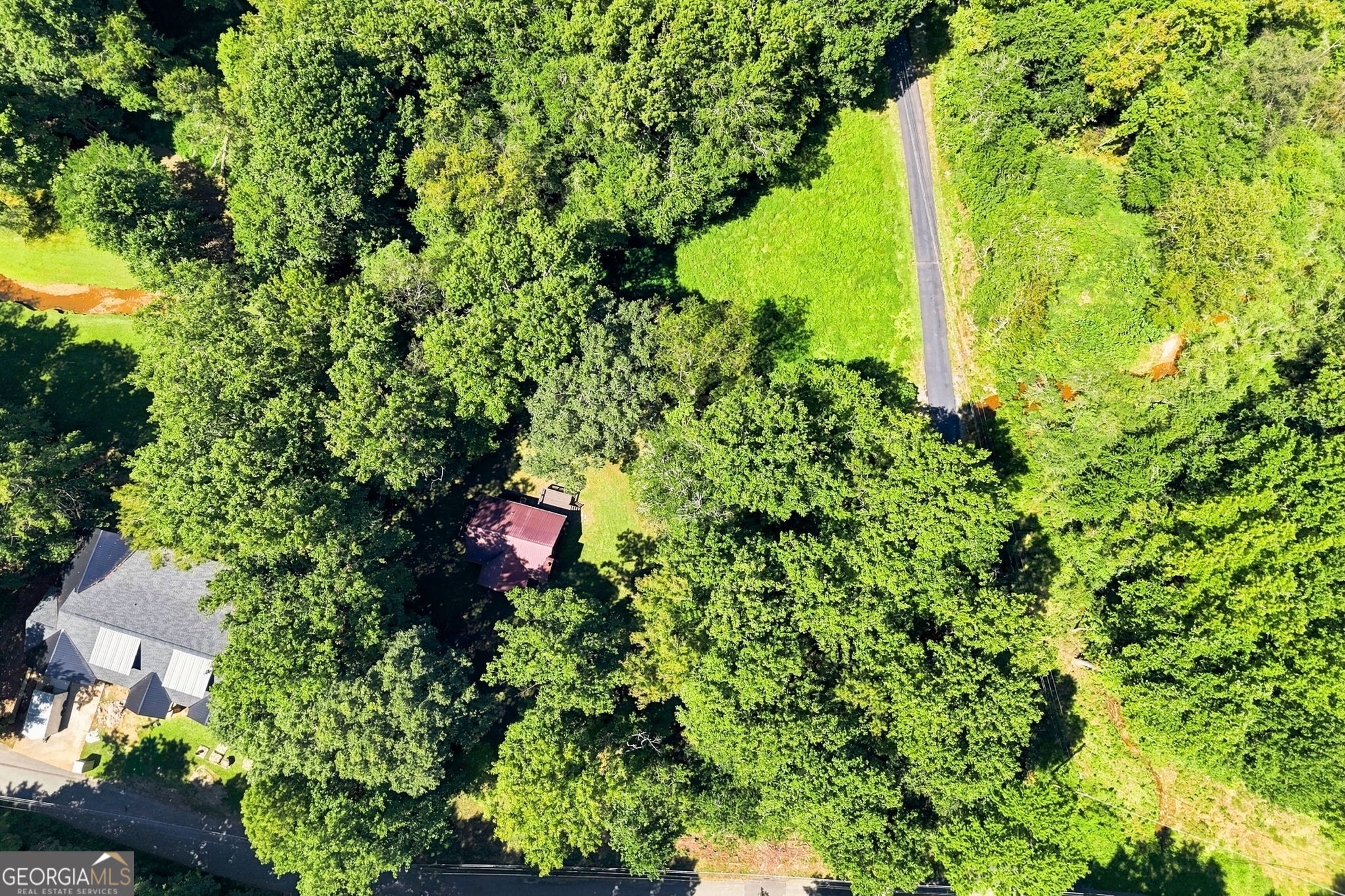175 Hidden Forest Property Photo 46