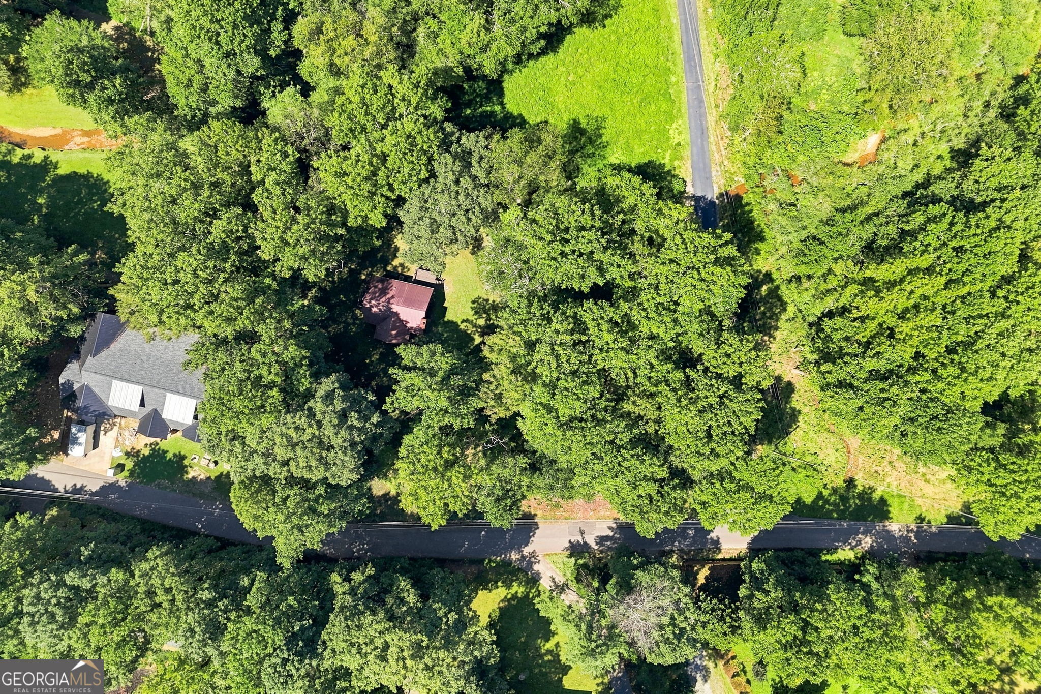 175 Hidden Forest Property Photo 47