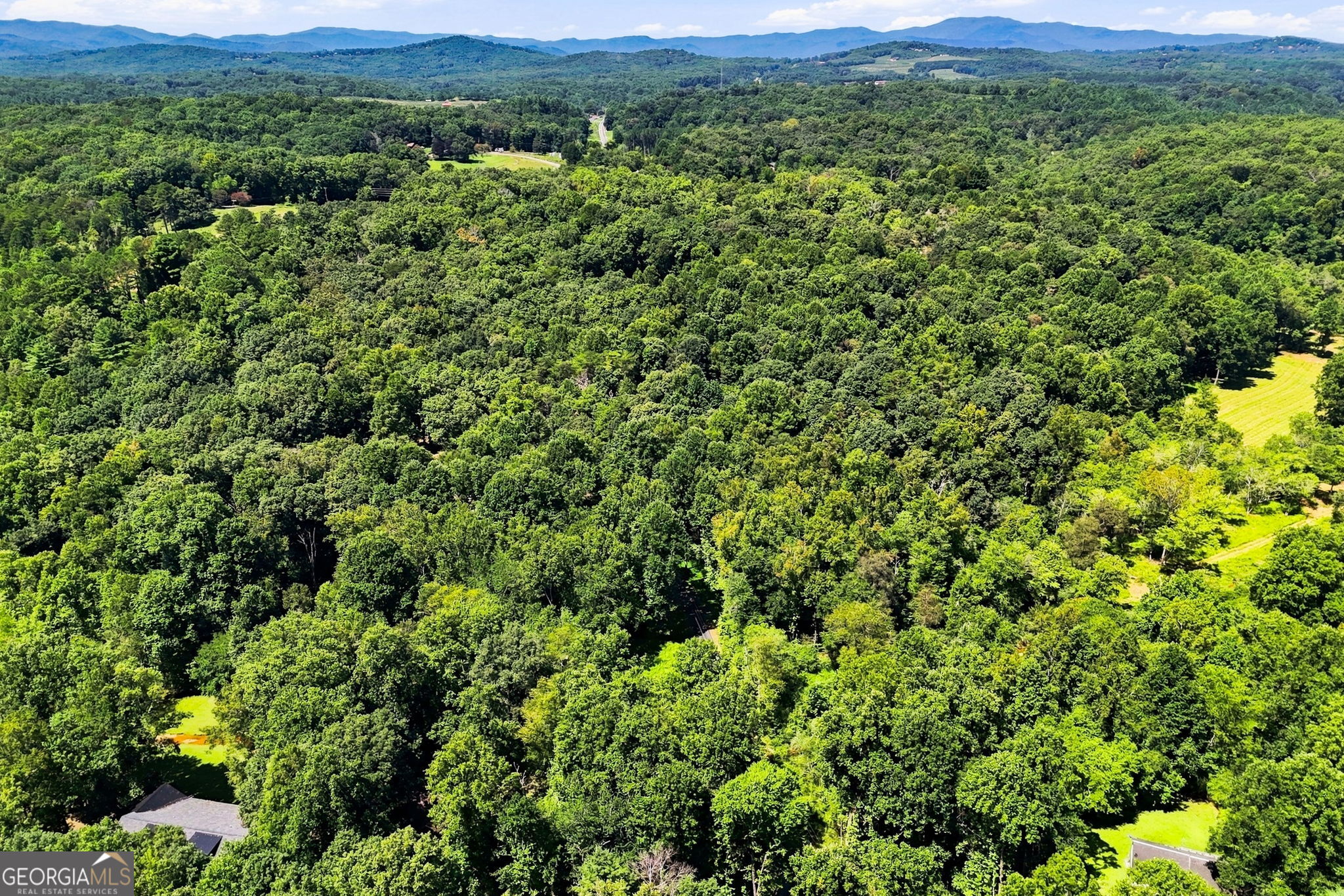 175 Hidden Forest Property Photo 48