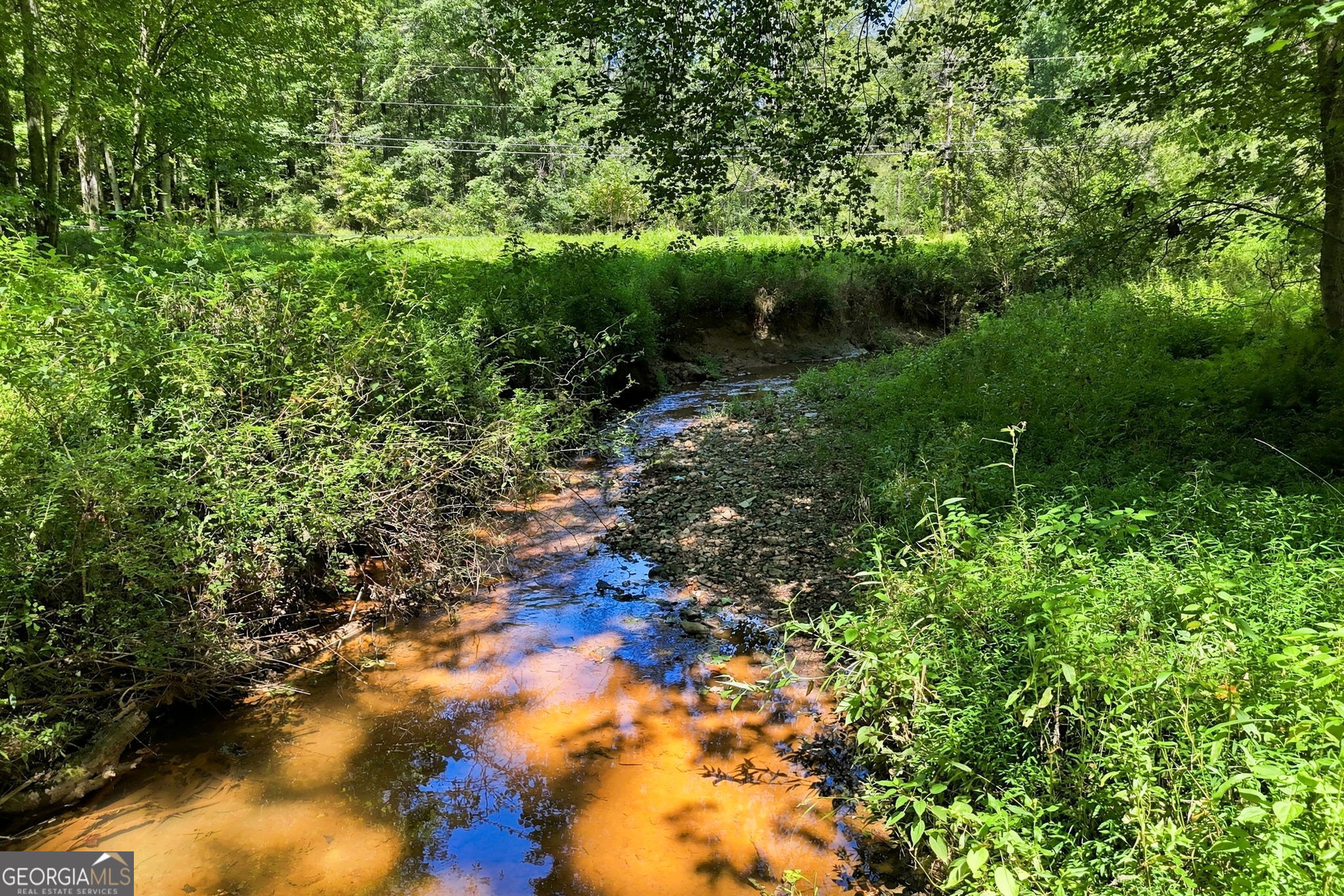 175 Hidden Forest Property Photo 49
