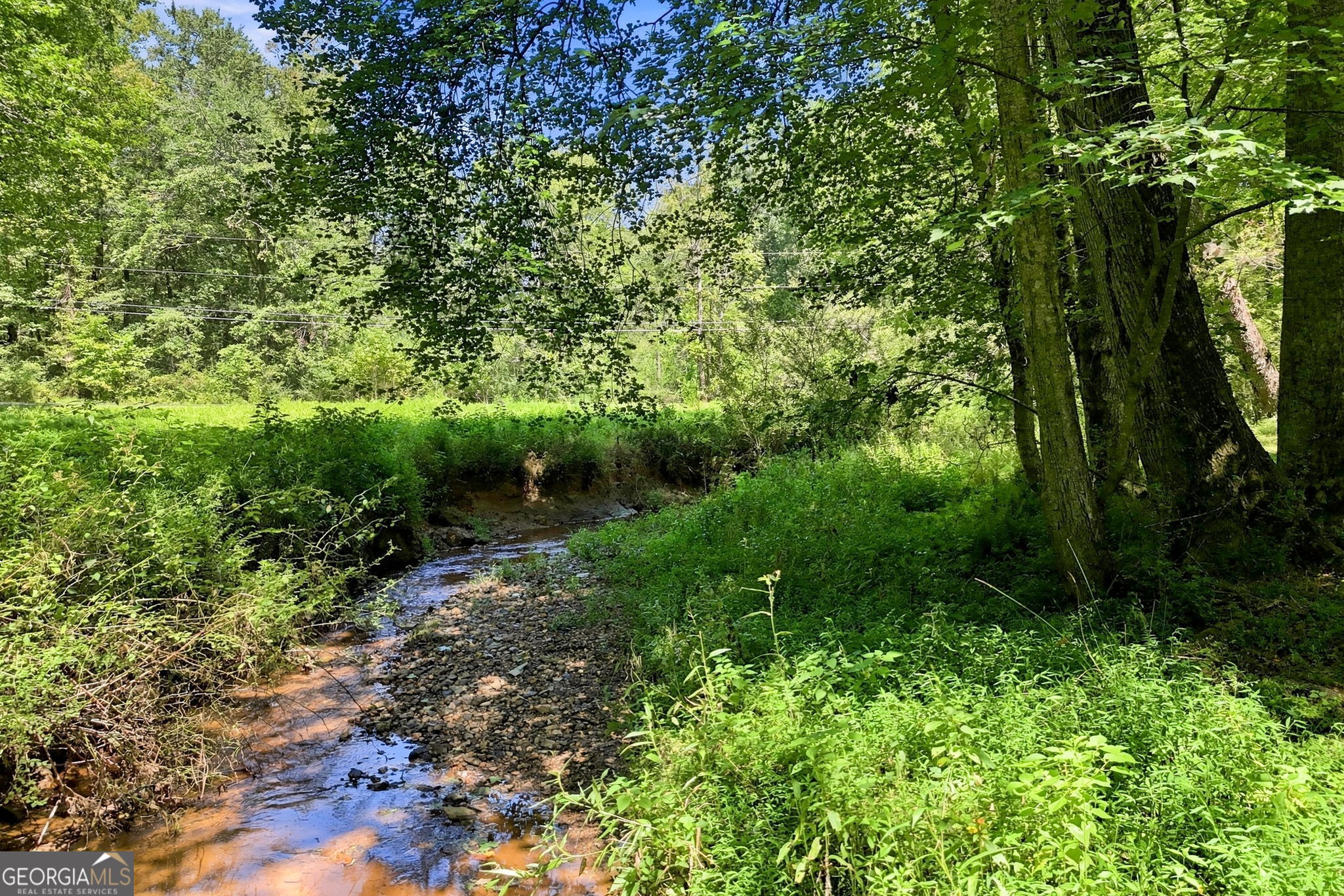 175 Hidden Forest Property Photo 50