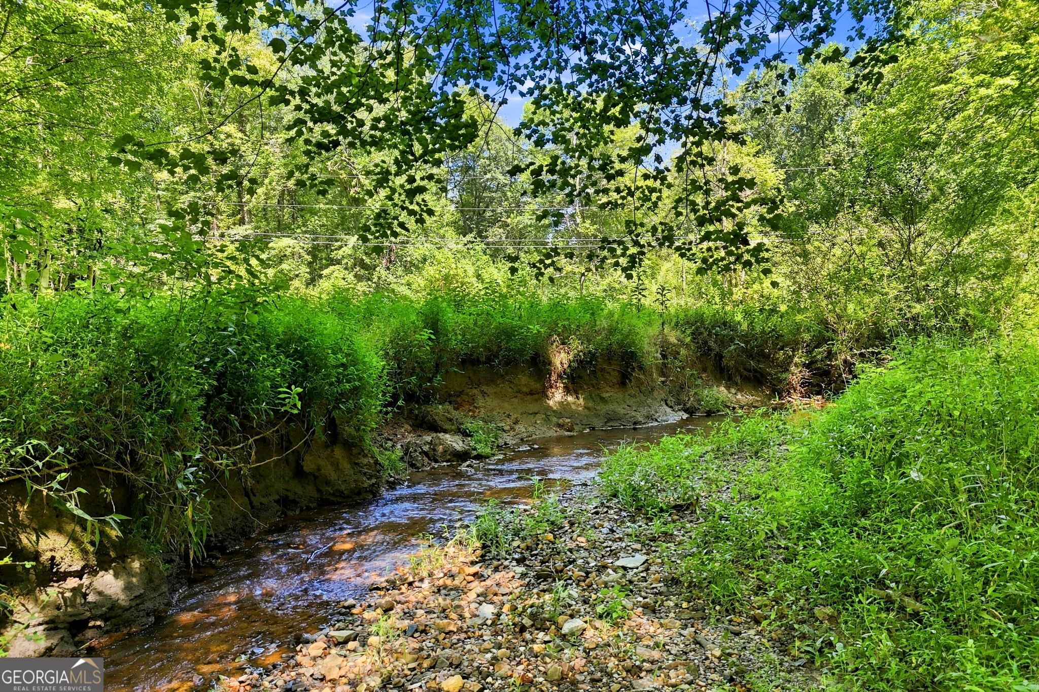 175 Hidden Forest Property Photo 51