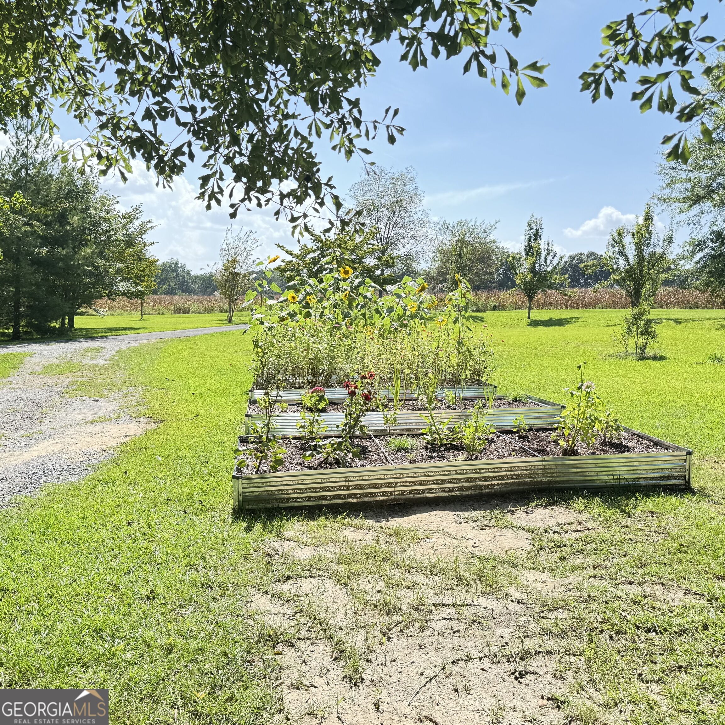 1027 1st Avenue Property Photo 8
