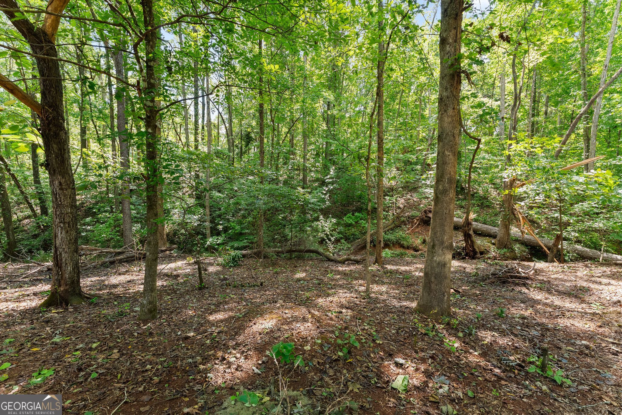 202 Old Lake Lane Property Photo 67