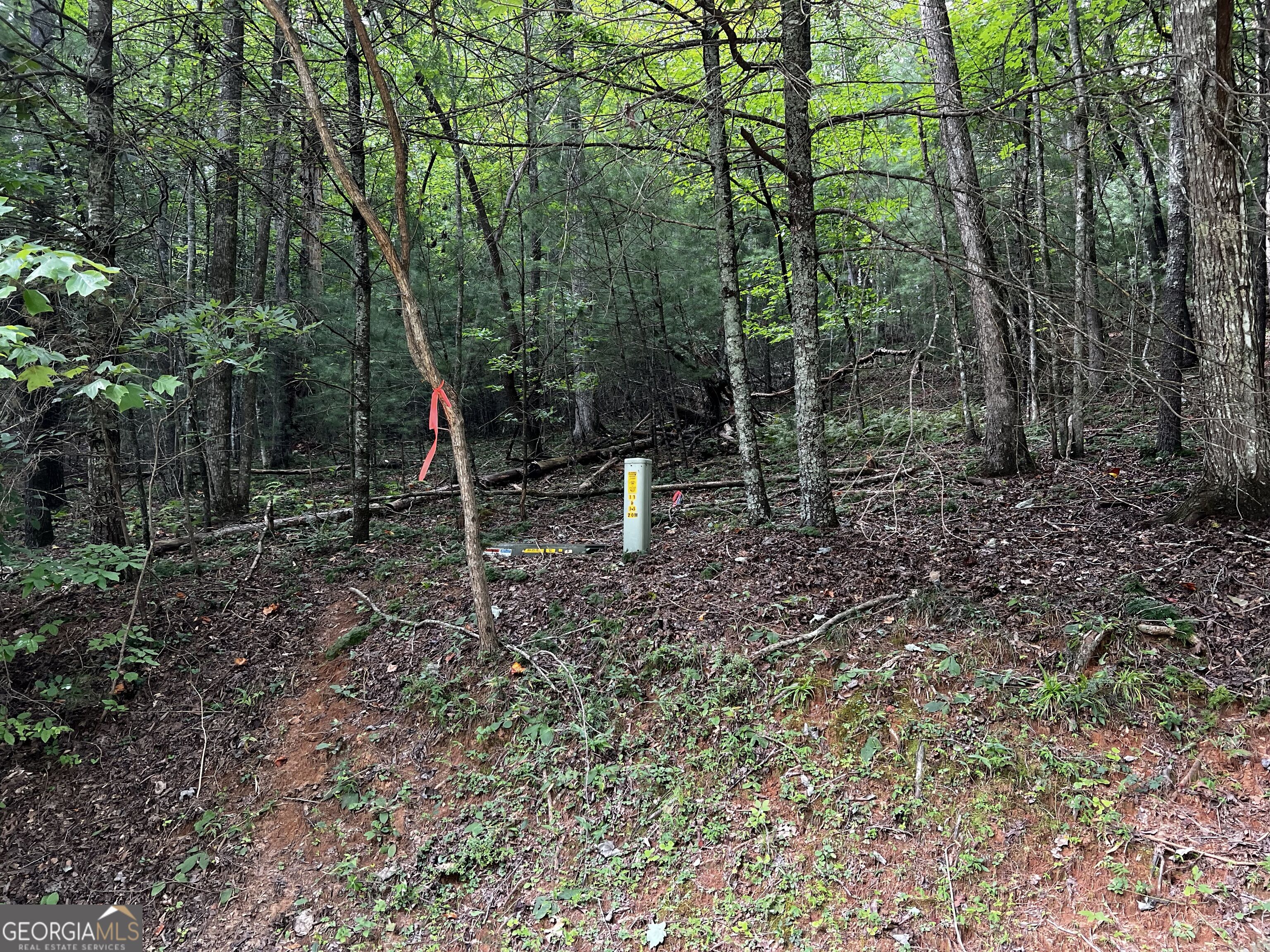 9 Dover Falls Trail Property Photo 3